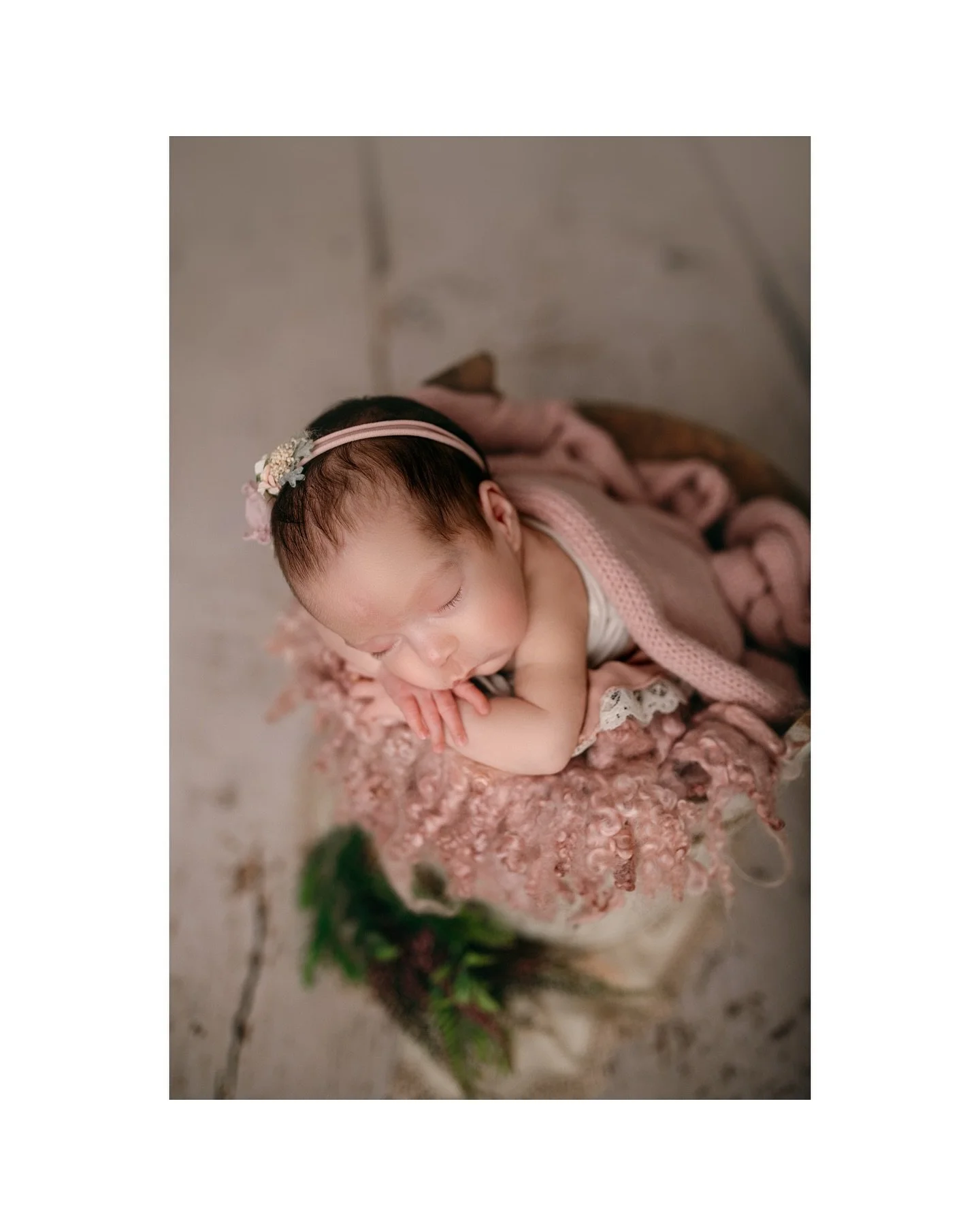 The brief: Pinks and browns for their first little princess 🥹😍🌸✨ 

Darwin newborn, maternity and family photography 🤍