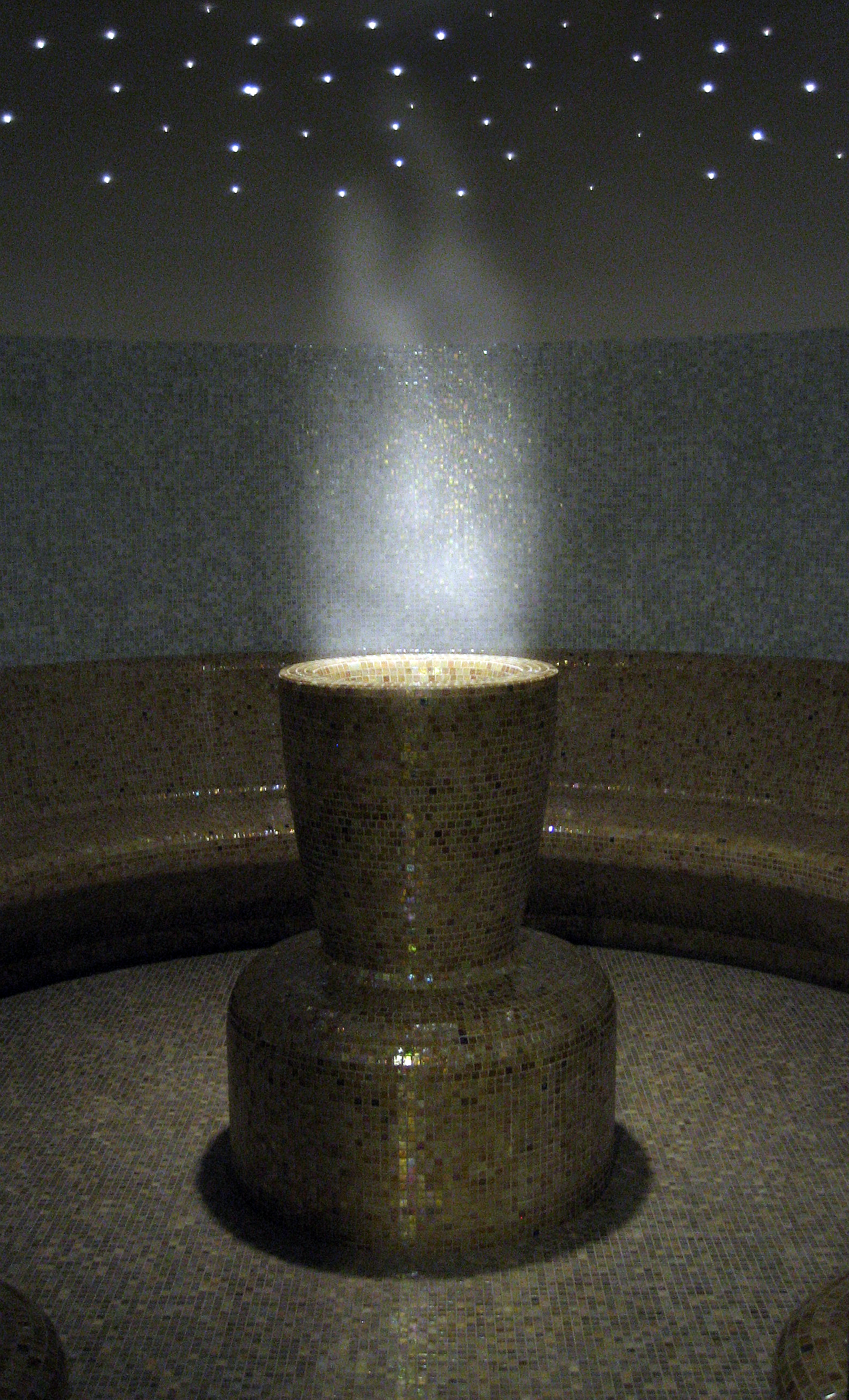 new_fotofpIMG_1444b.png