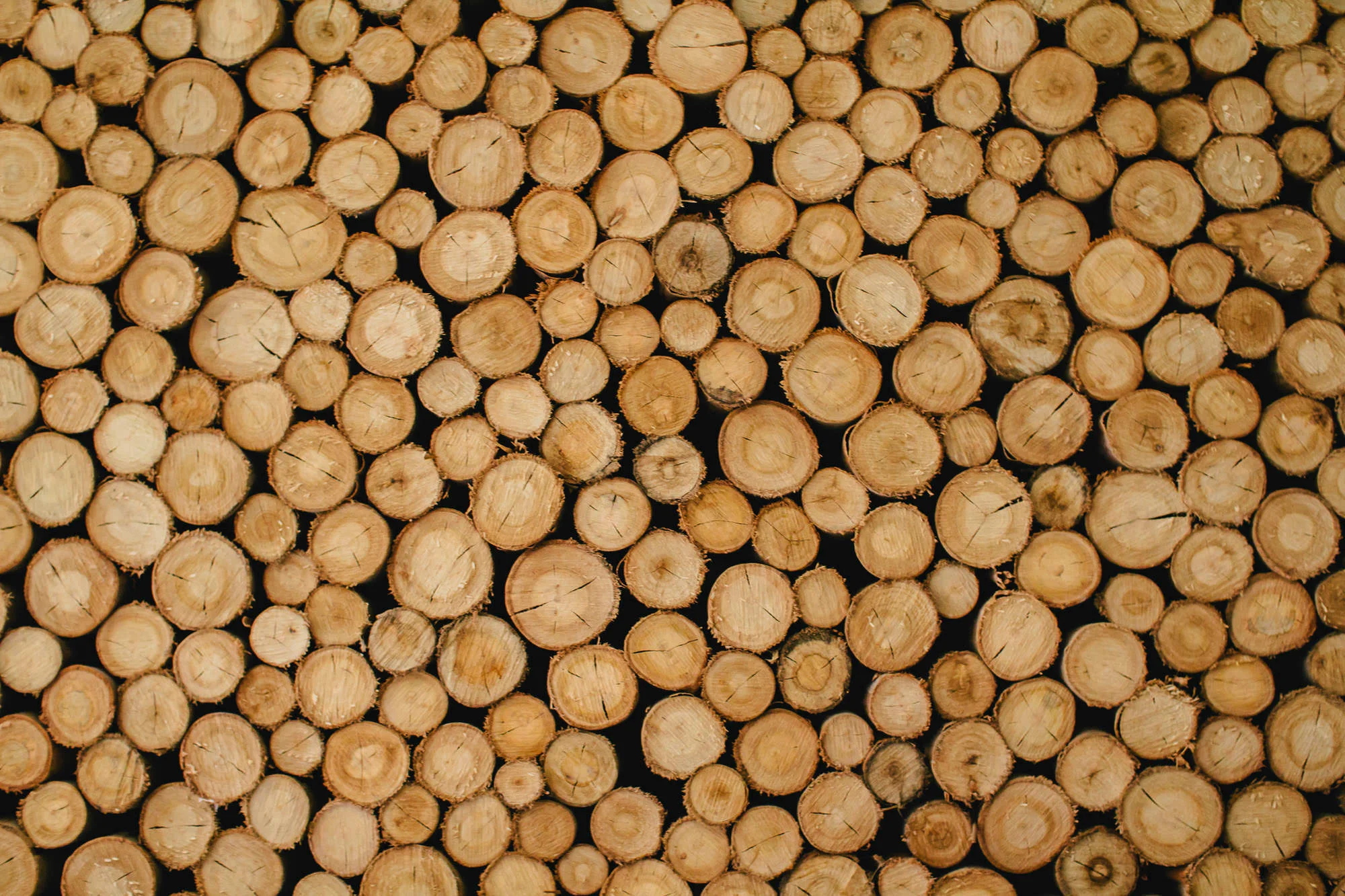 cooking_web (337 of 500).jpg