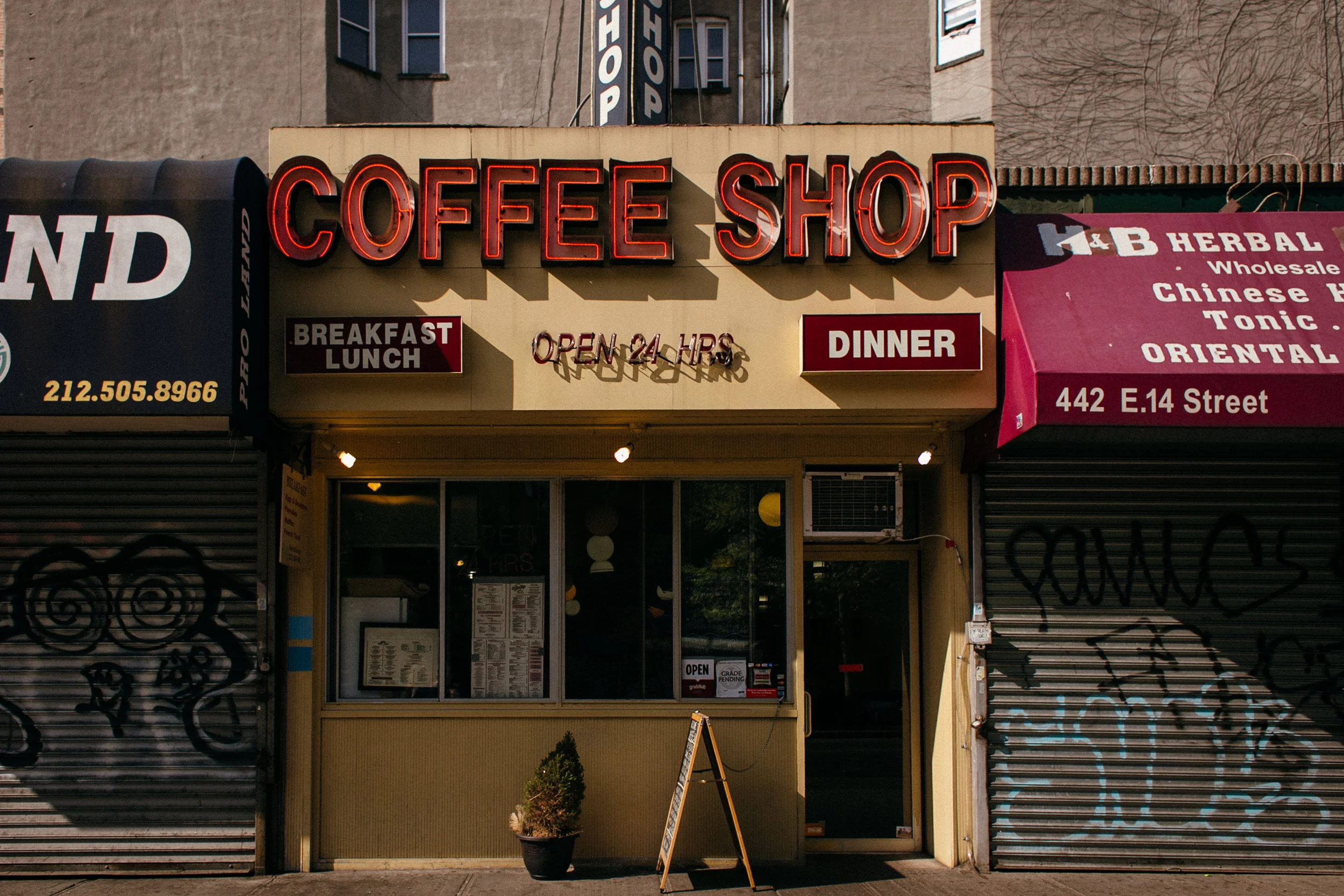 New York City 2015-0008.jpg