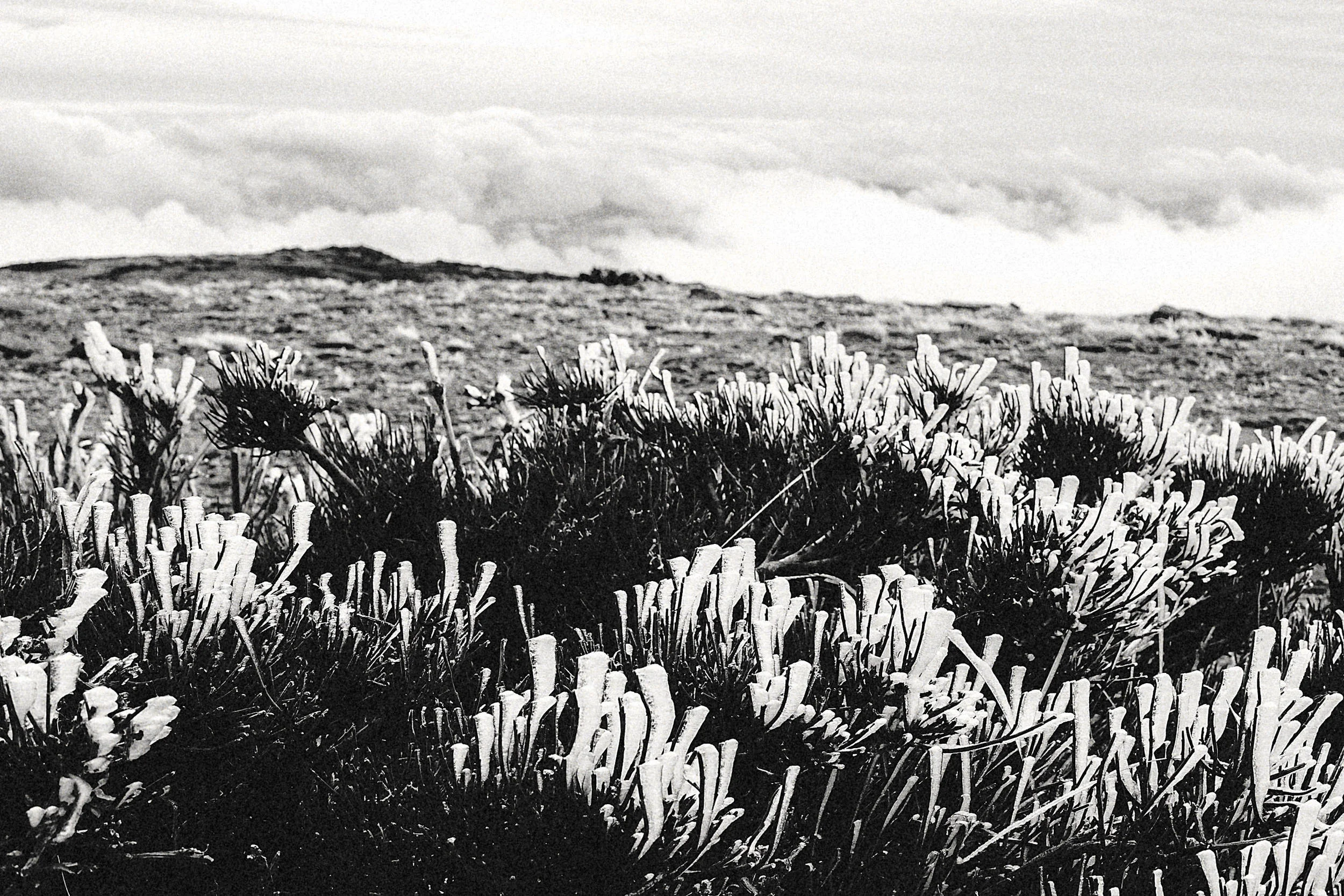 serra da estrela-0012-Exposure.jpg