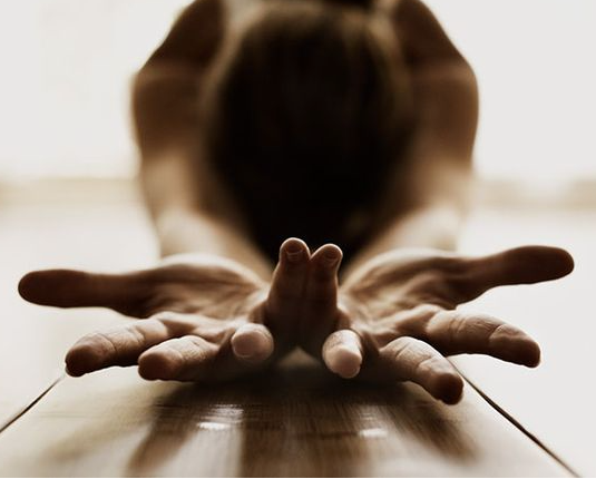 Yoga and Wellness day retreat