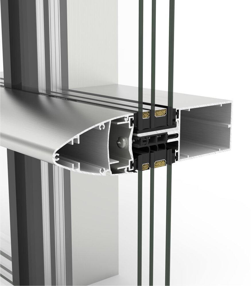 tp52 profile section.jpg