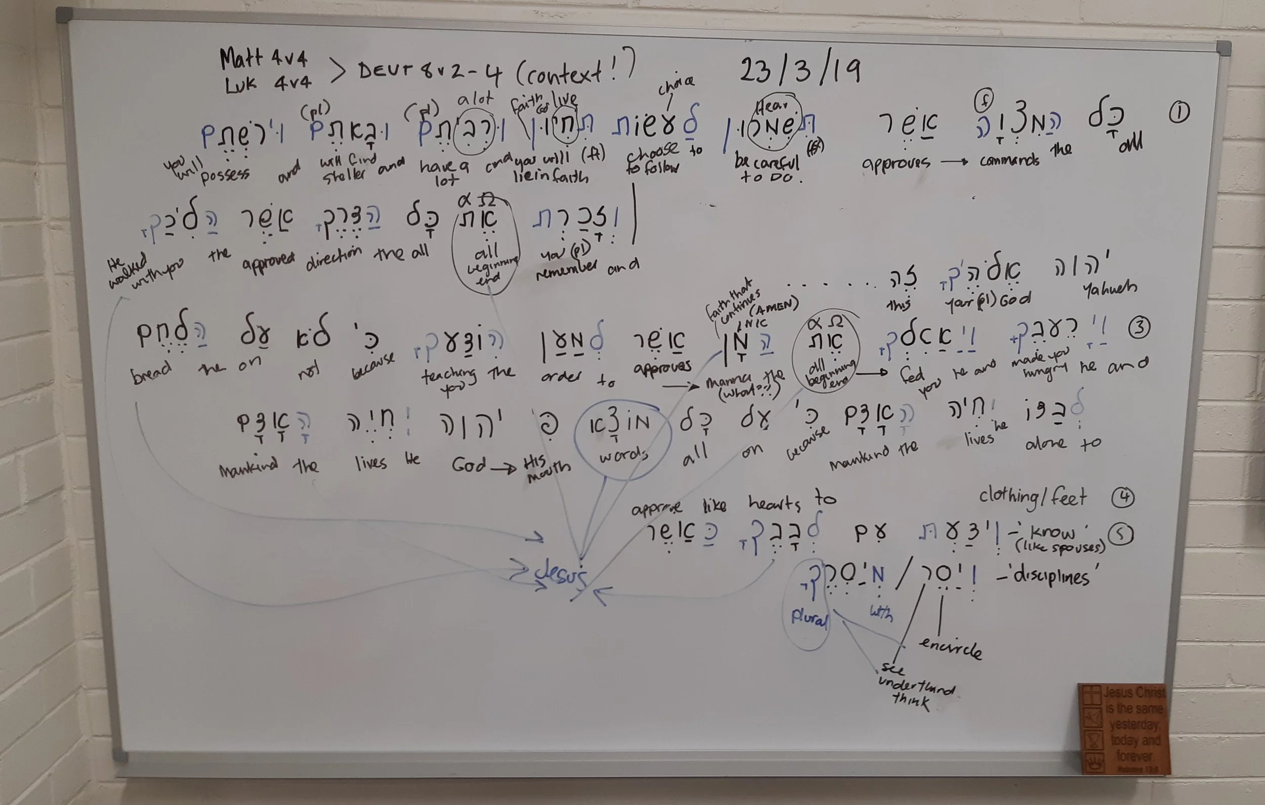 20190323_181331.jpg