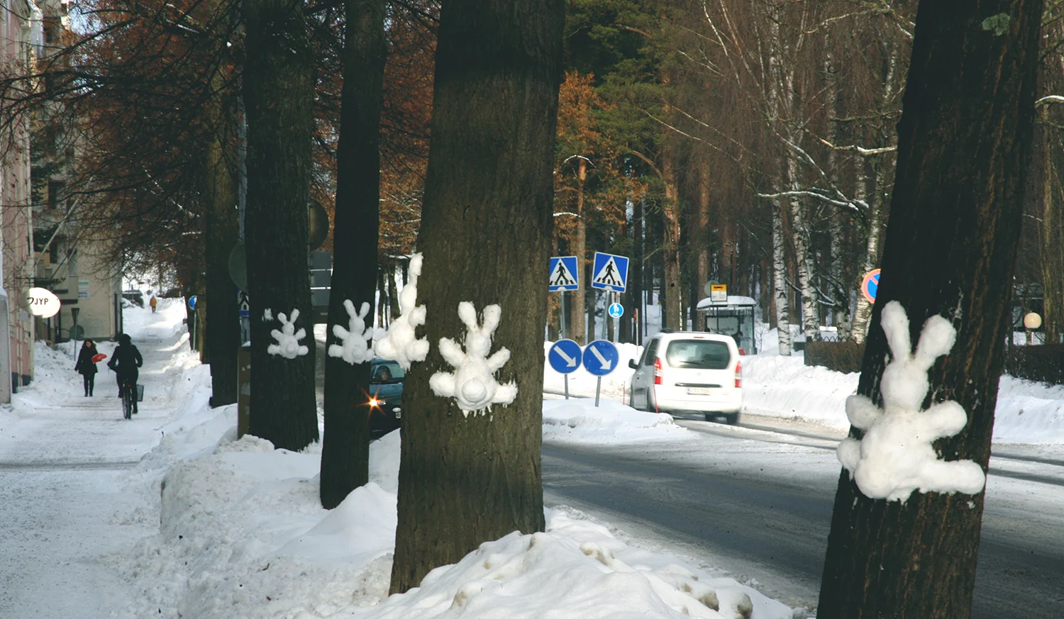 _MG_2483.jpg