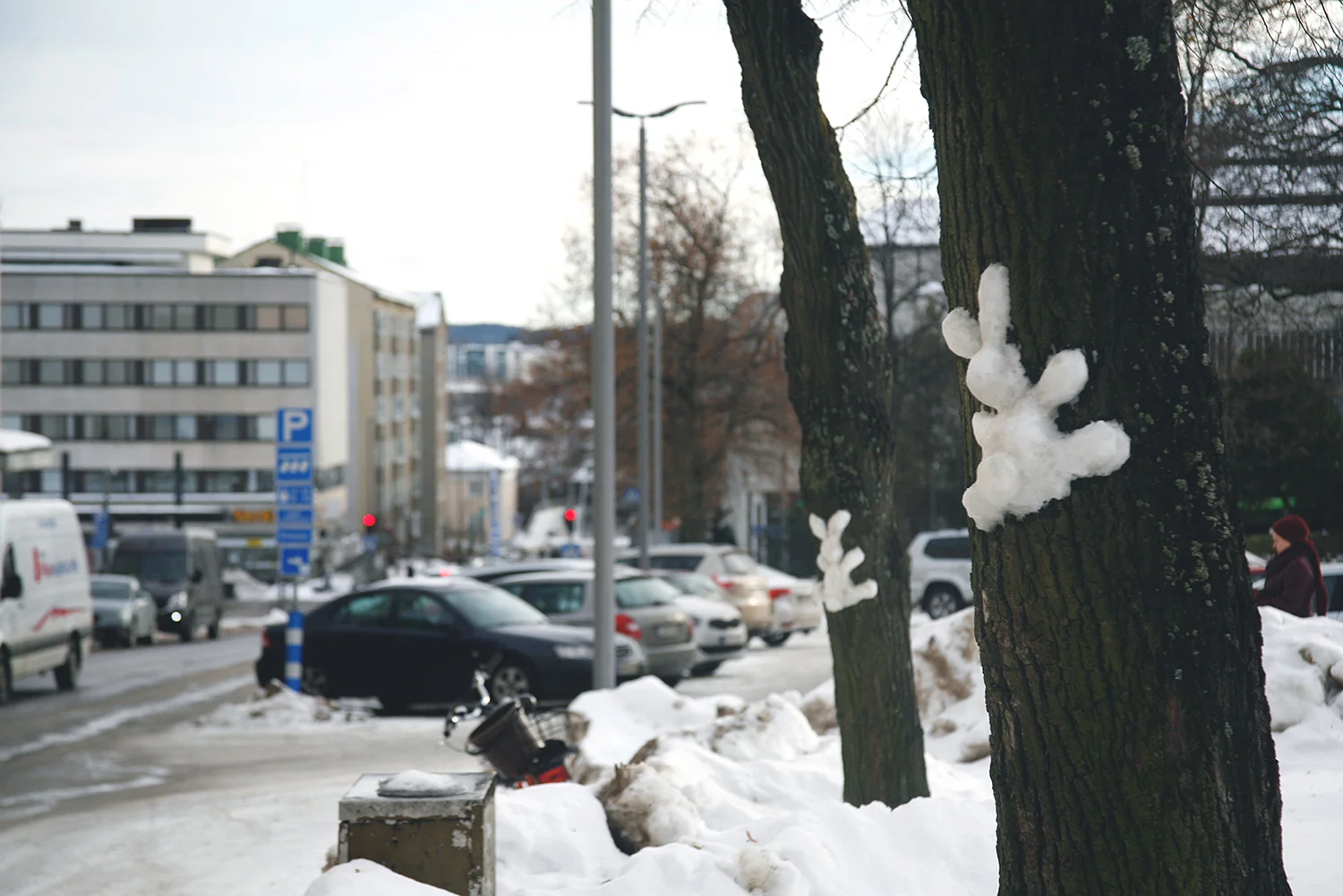 _MG_2525.jpg