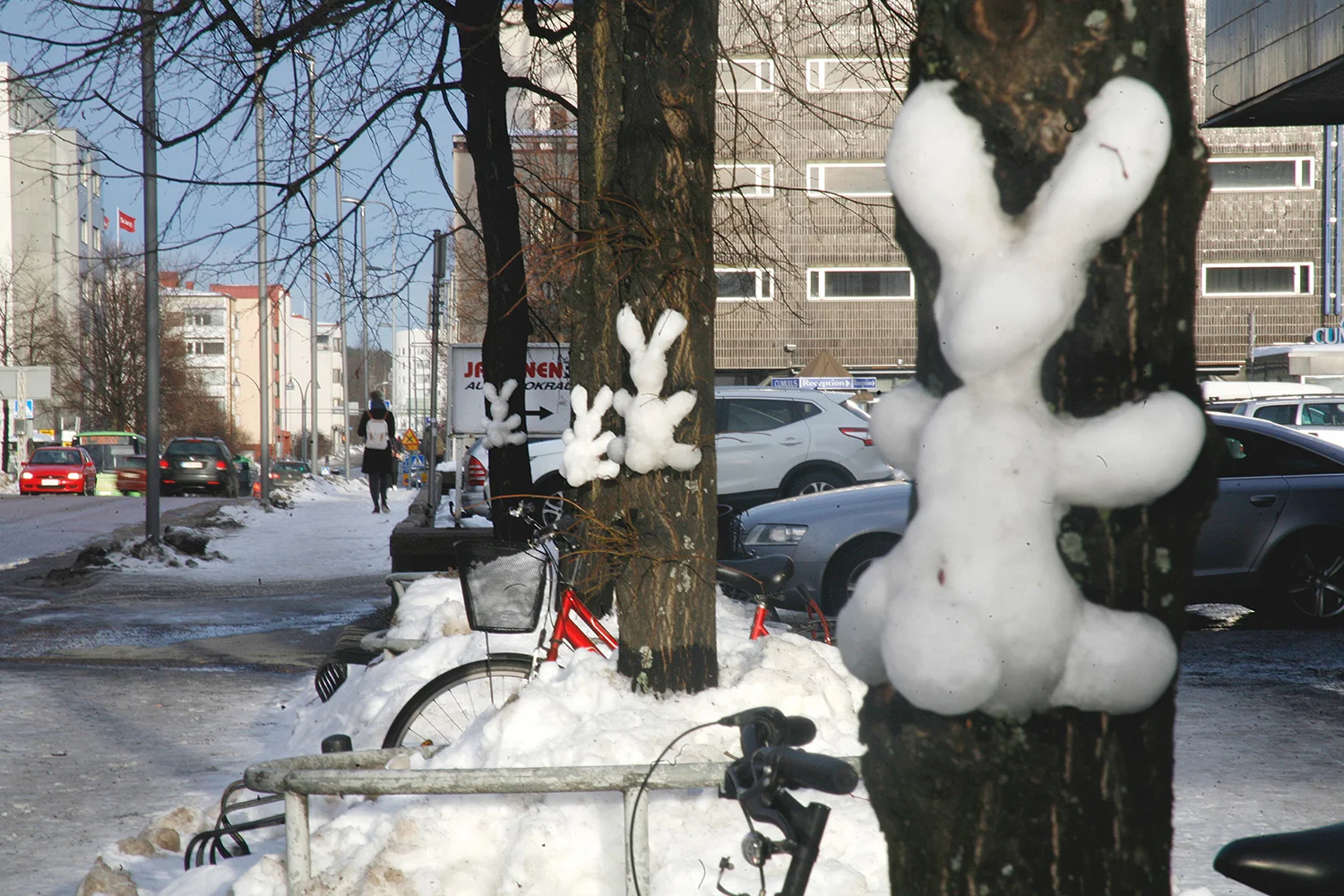 _MG_2539.jpg