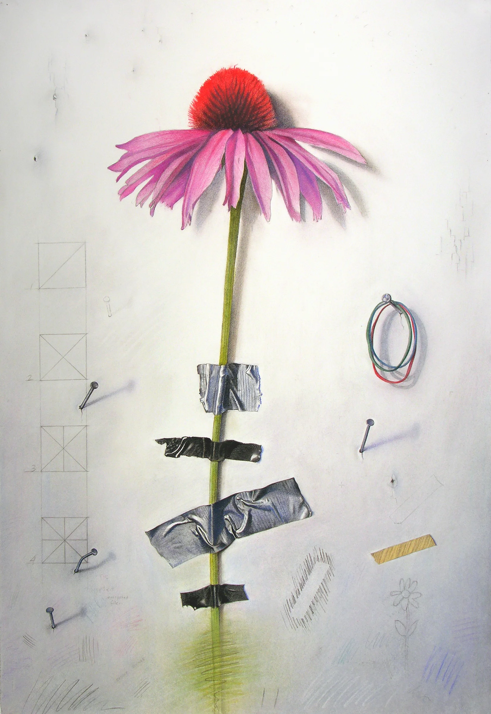 Wallflower 2