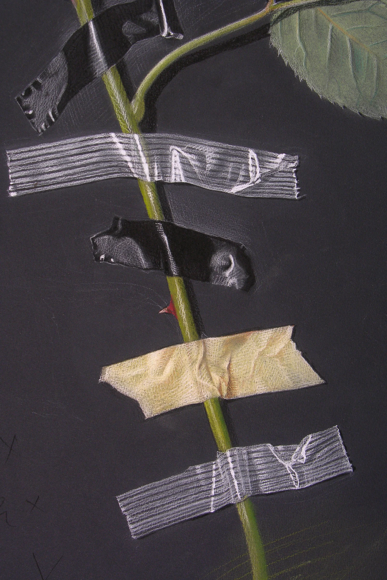 Wallflower 5 (detail)