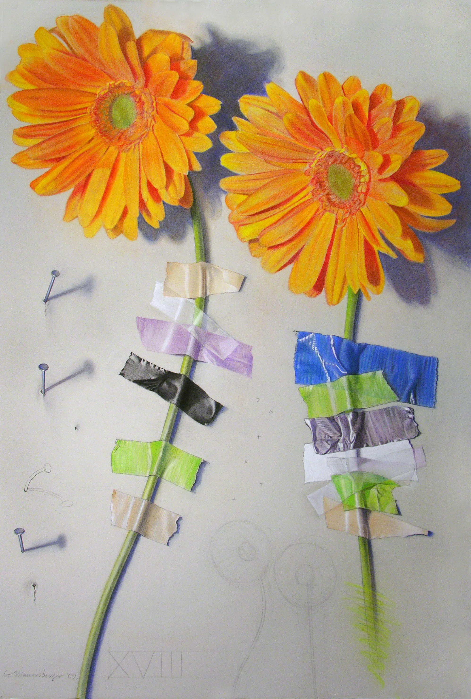 Wallflower 18