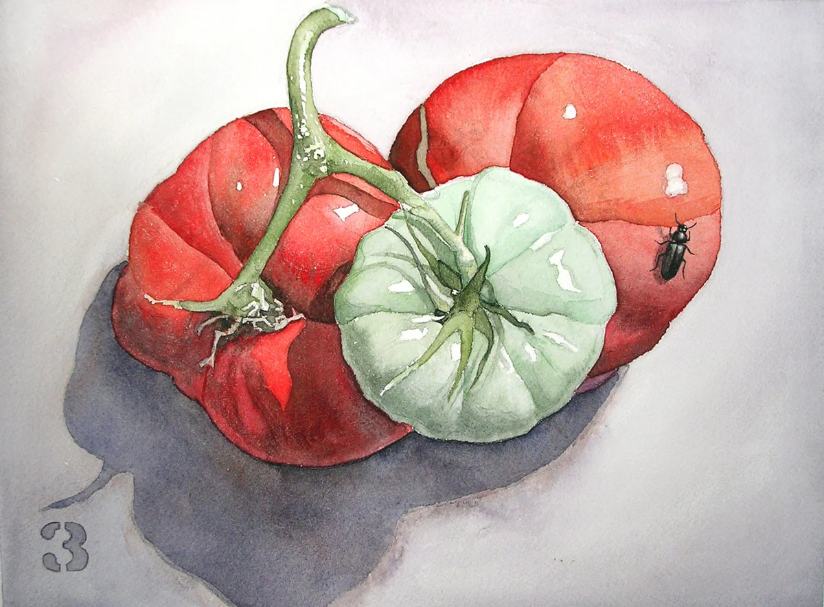 Veg 3