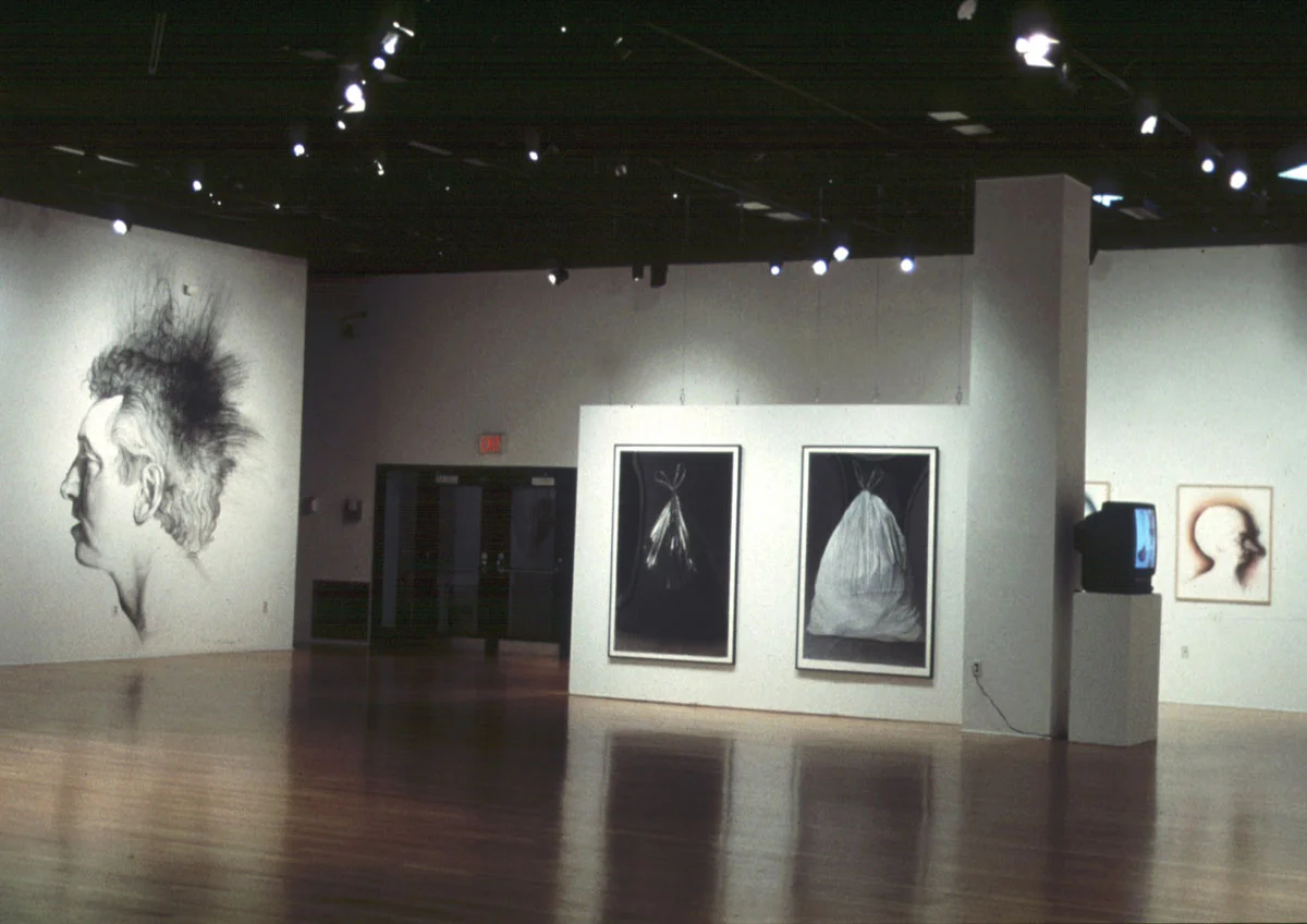 Hed (installation view 2)