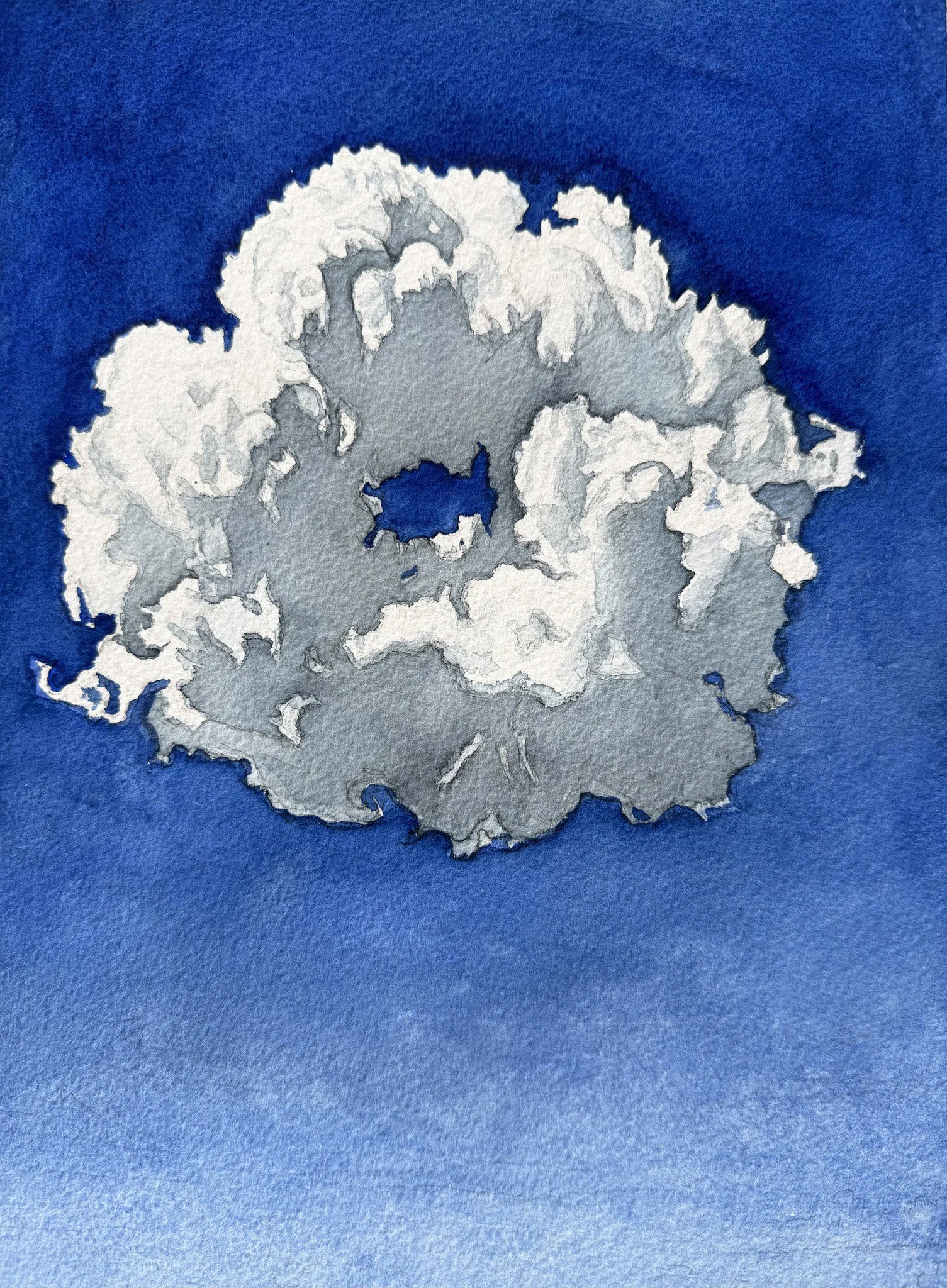 Donut Cloud (Copy)