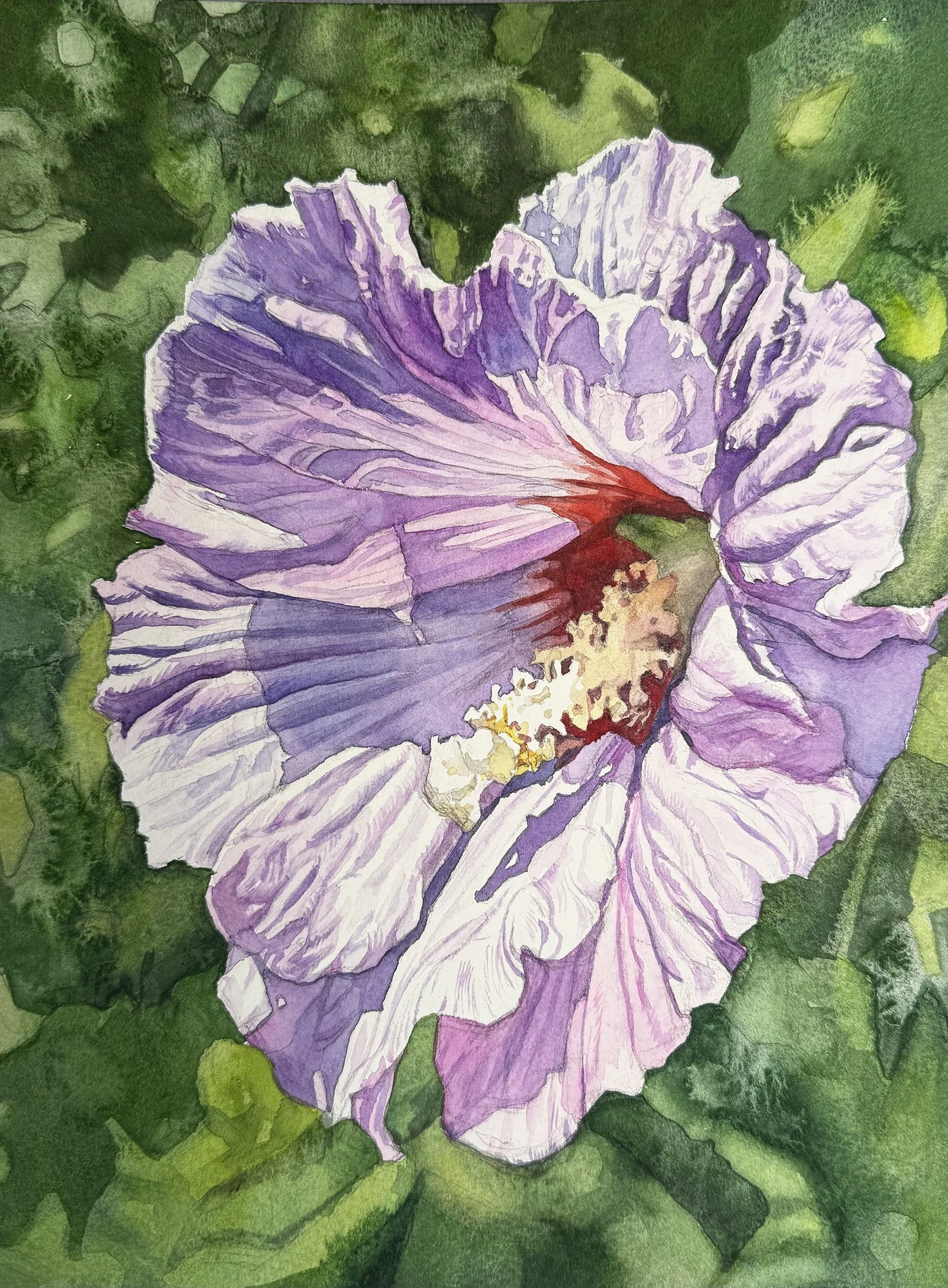 Another Hibiscus Syriacus 
