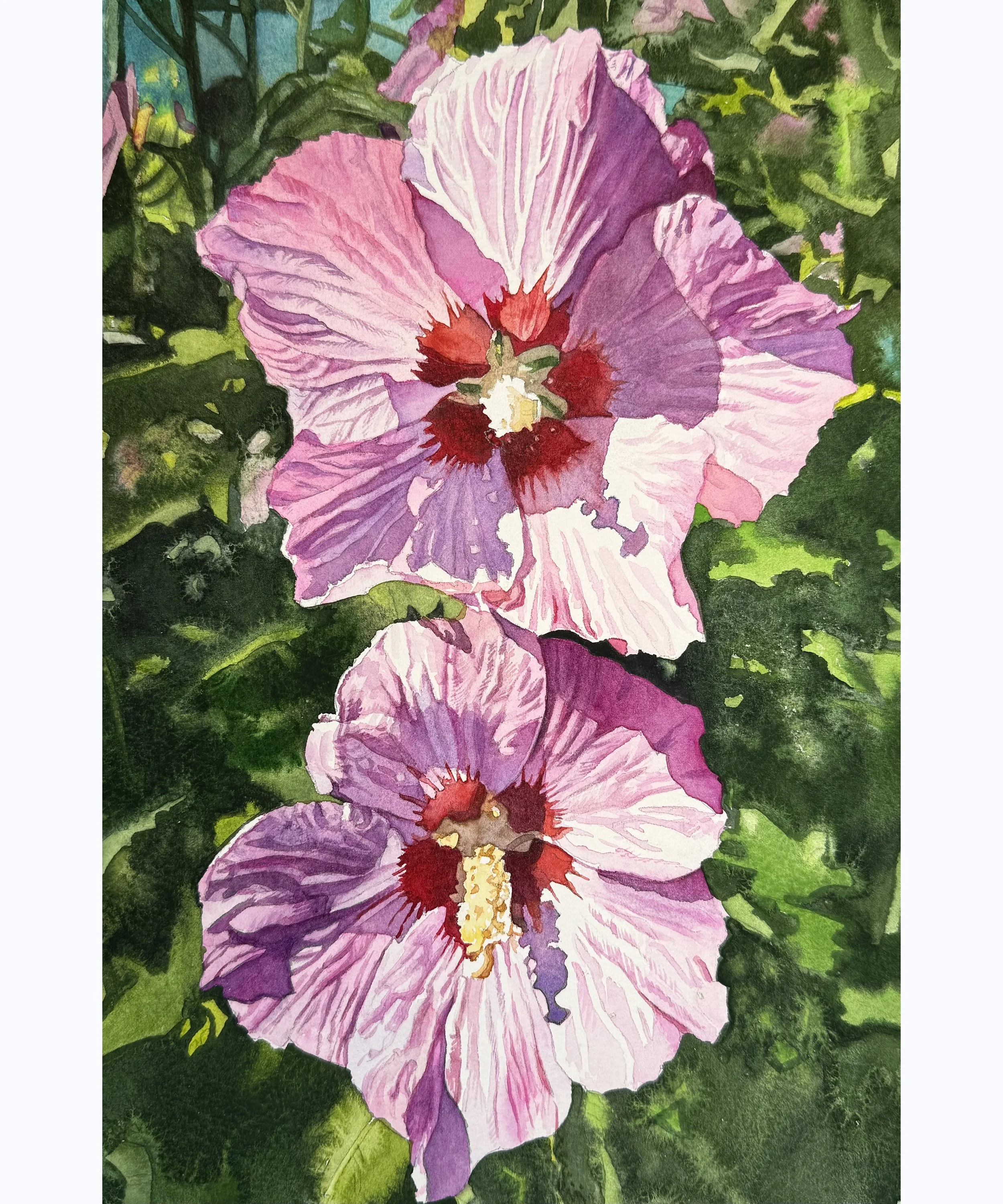 Double Hibiscus 2  (Copy)