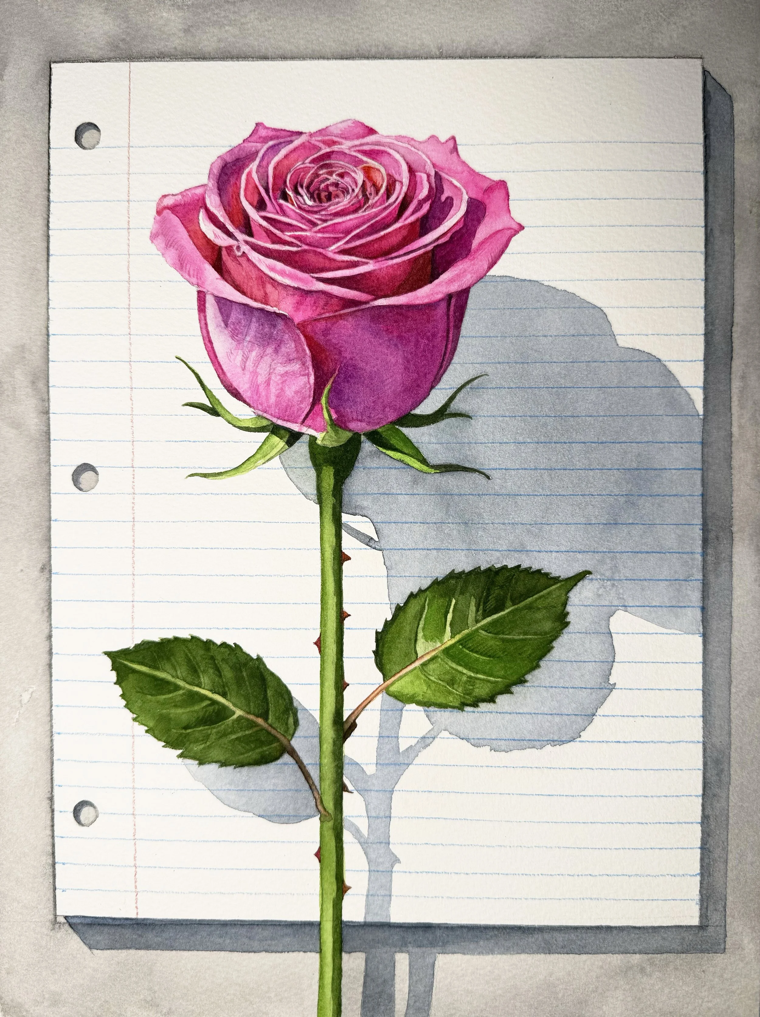 Pink Rose on Paper (Copy)