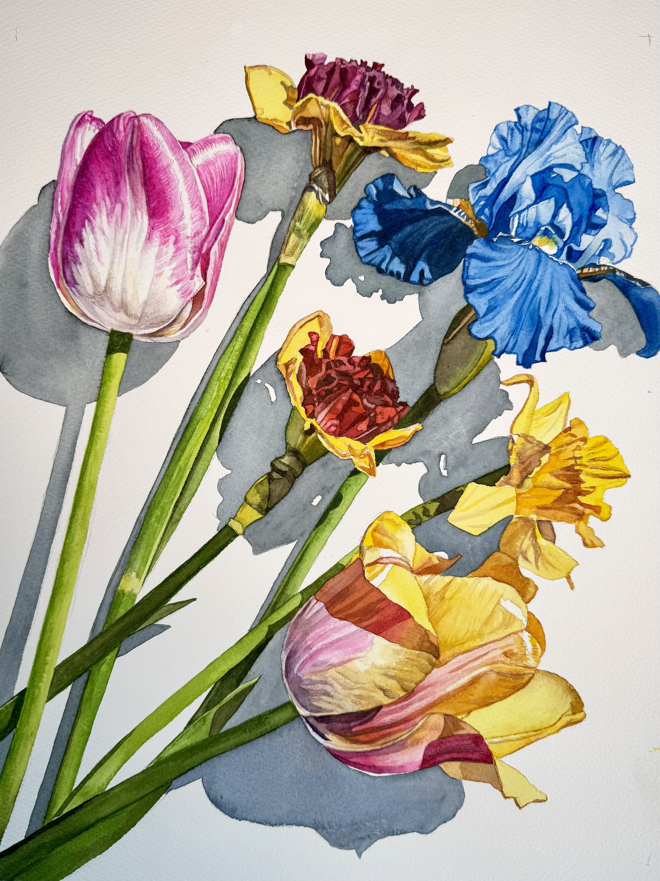 Tilted Bouquet 
watercolor - 16 x 12 in. - 2026