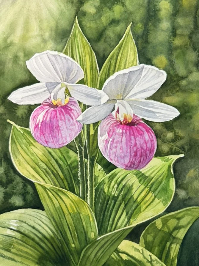 Minnesota State Flower (for Renee and Alex)  (Copy)