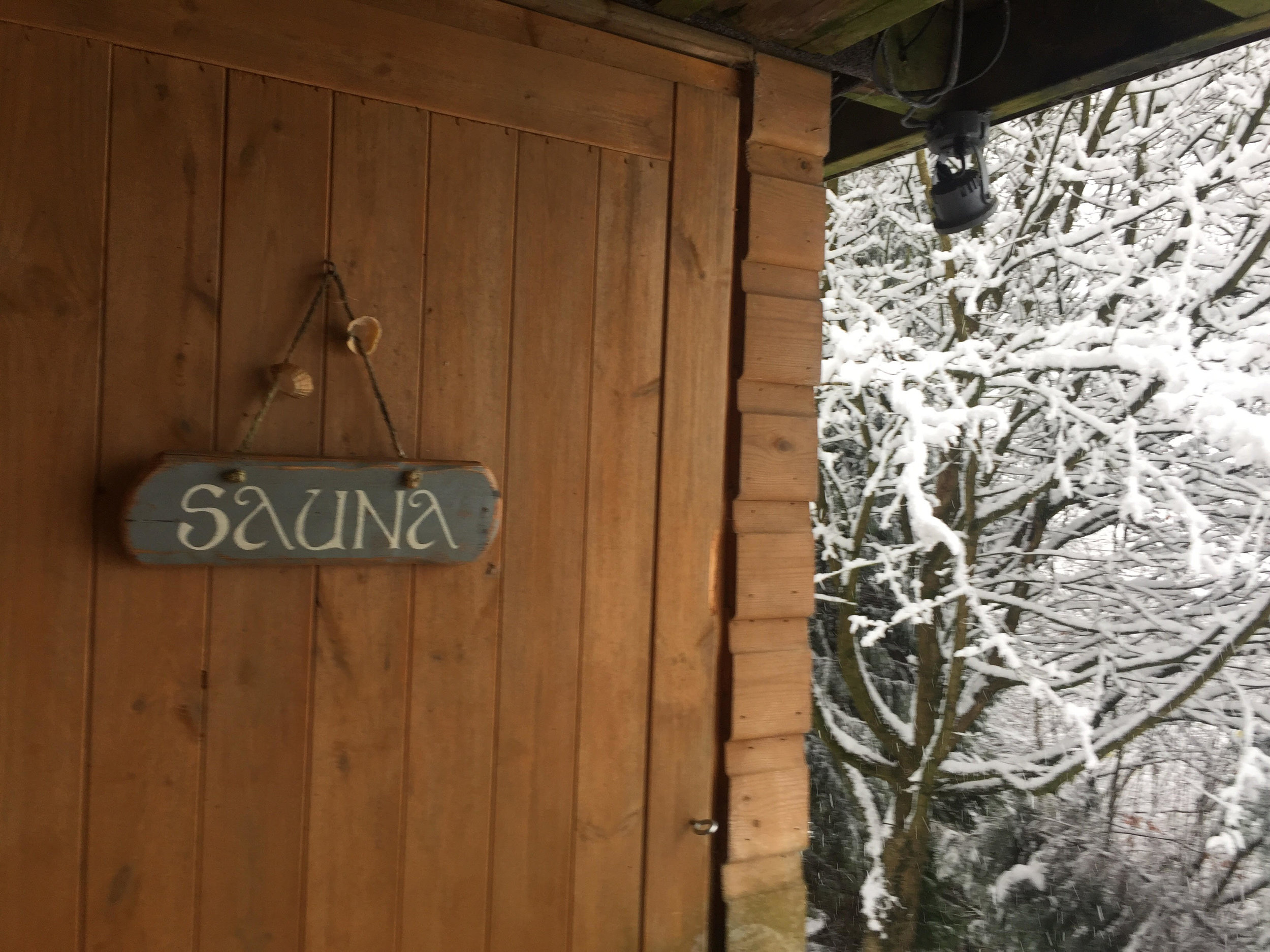 sauna door.jpg