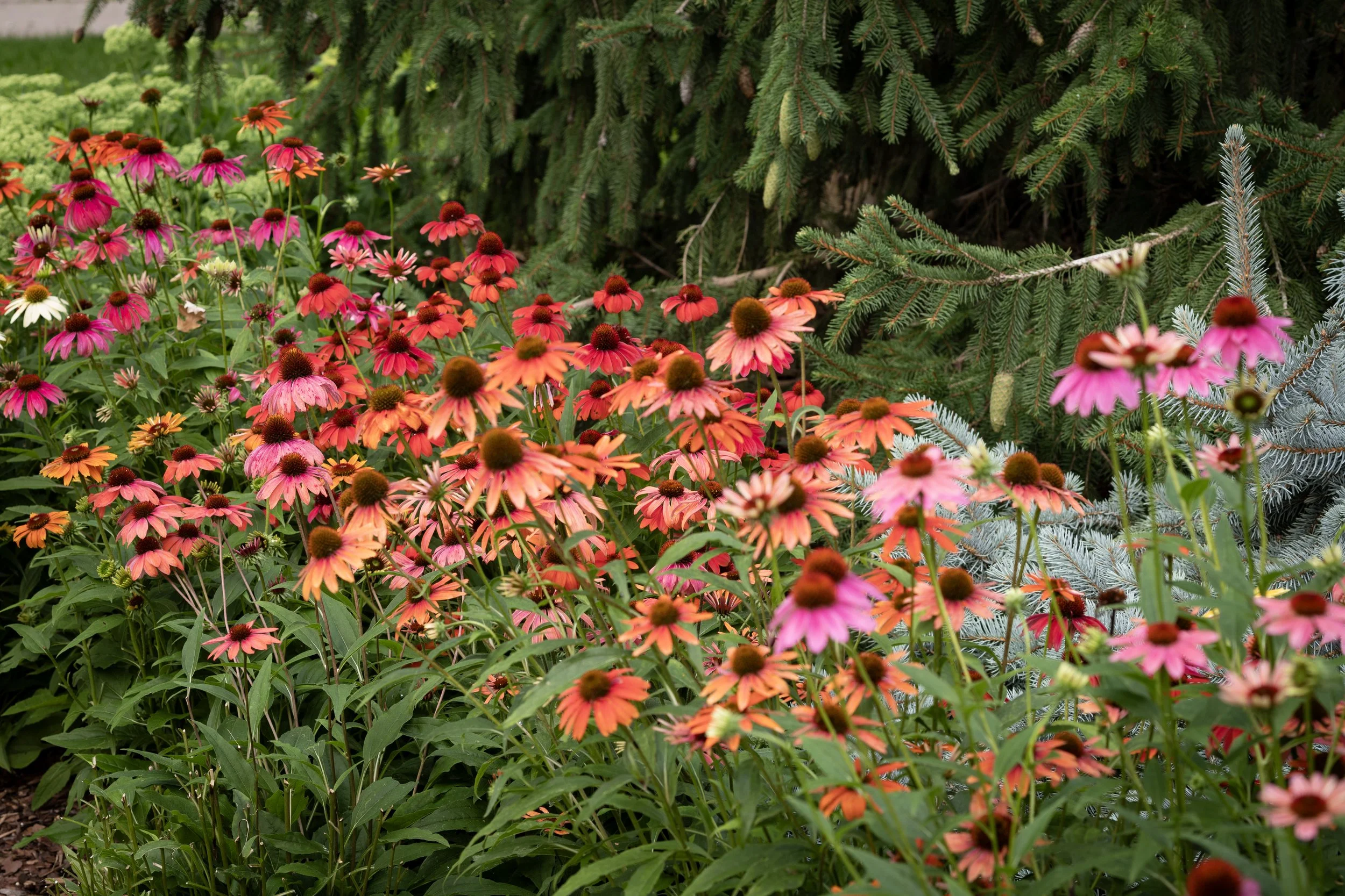 240723_14113 Whiterock_051.jpg