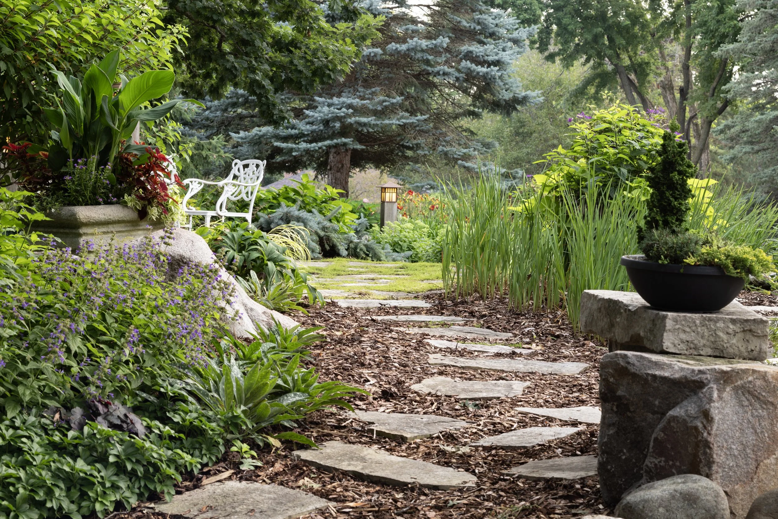 240723_14113 Whiterock_030 (1).jpg