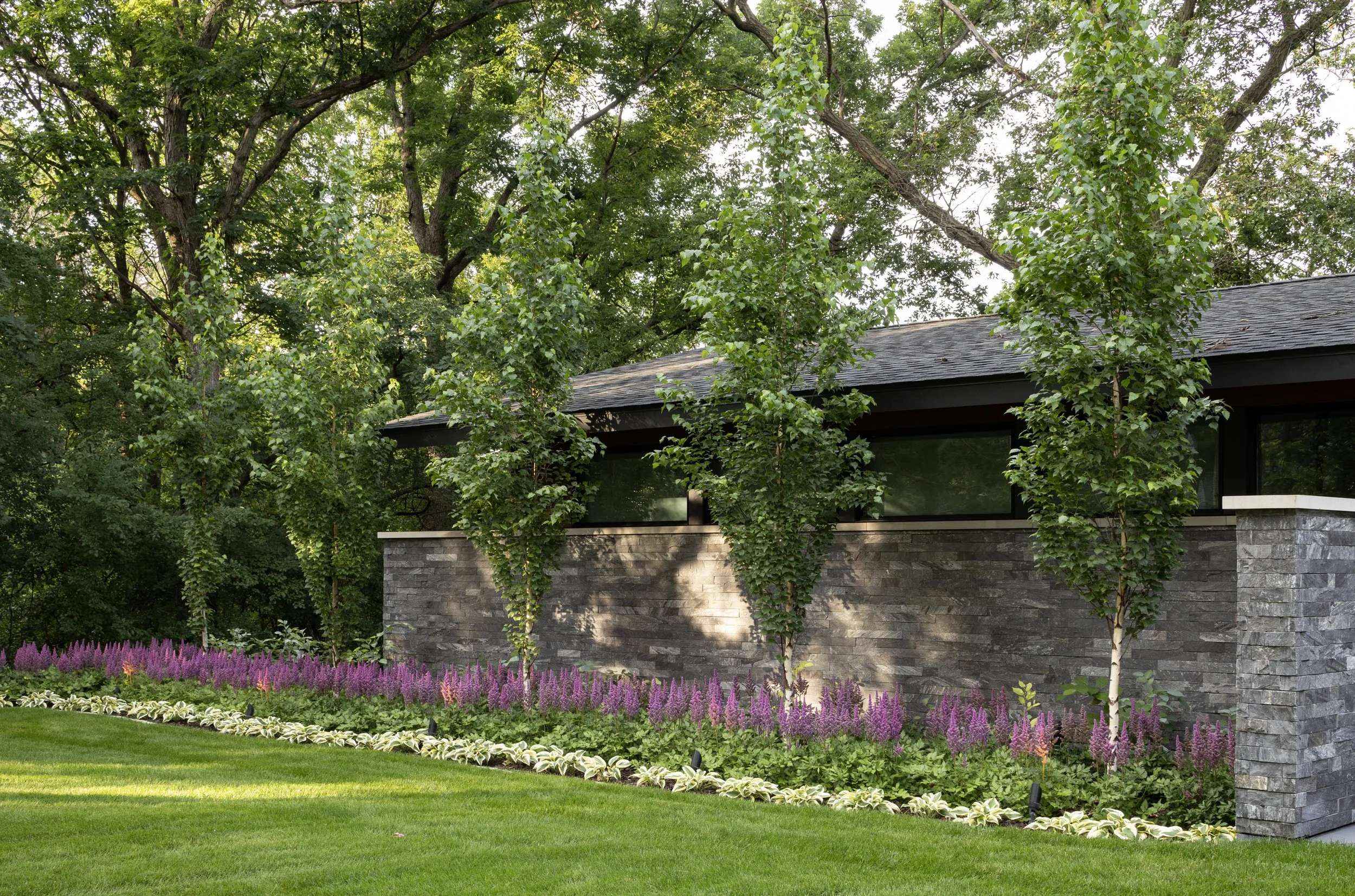 240710_2439 Sherwood_024_Cropped.JPG