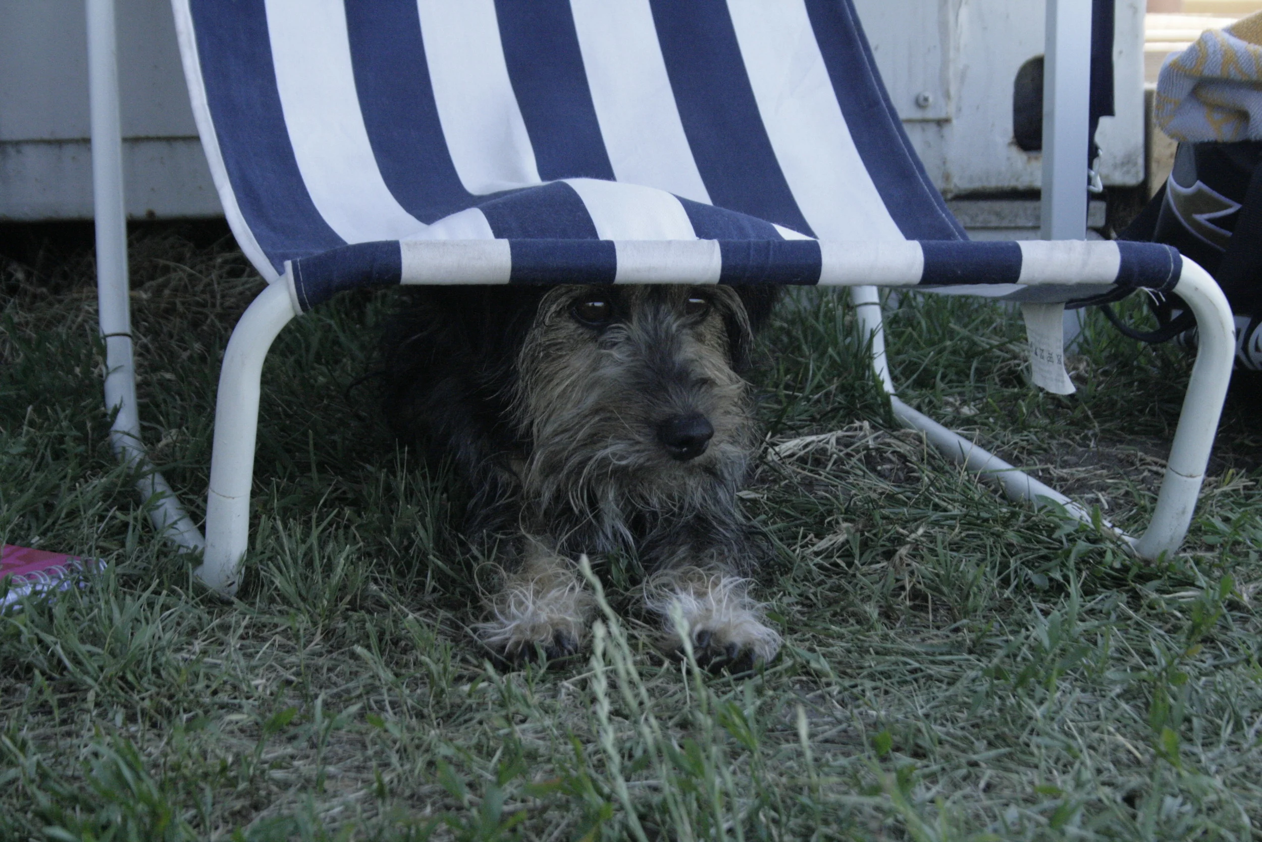 2012.06.20 781.jpg