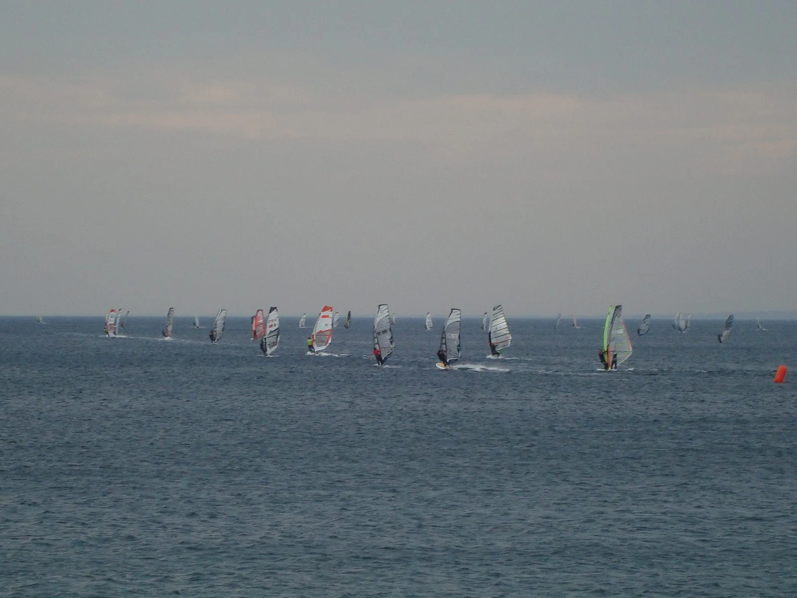 DSC05486.jpg