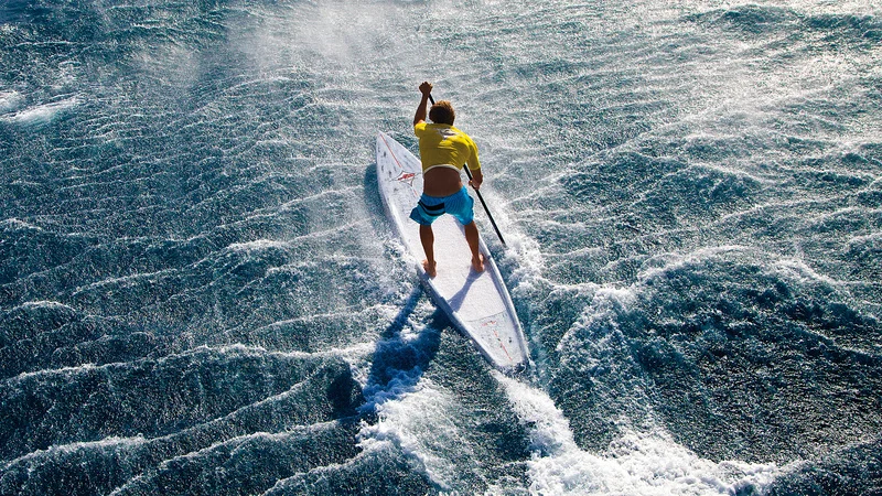 SHARK RACING SUP 12'6