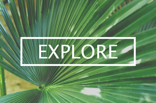 EXPLORE