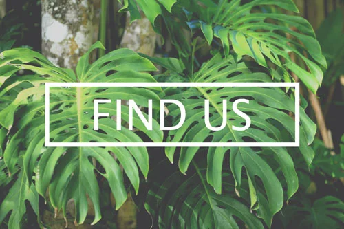 FIND US