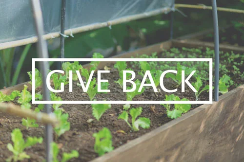 GIVE BACK
