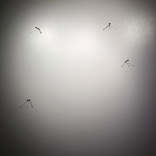 I feel like these images of  @fishergallery empty after deinstall of #Peculiar #feminine echos what&rsquo;s going on around here in MD. Everything is closed - schools, library&rsquo;s, museums, the zoo. Super weird times for all of us. What can we le