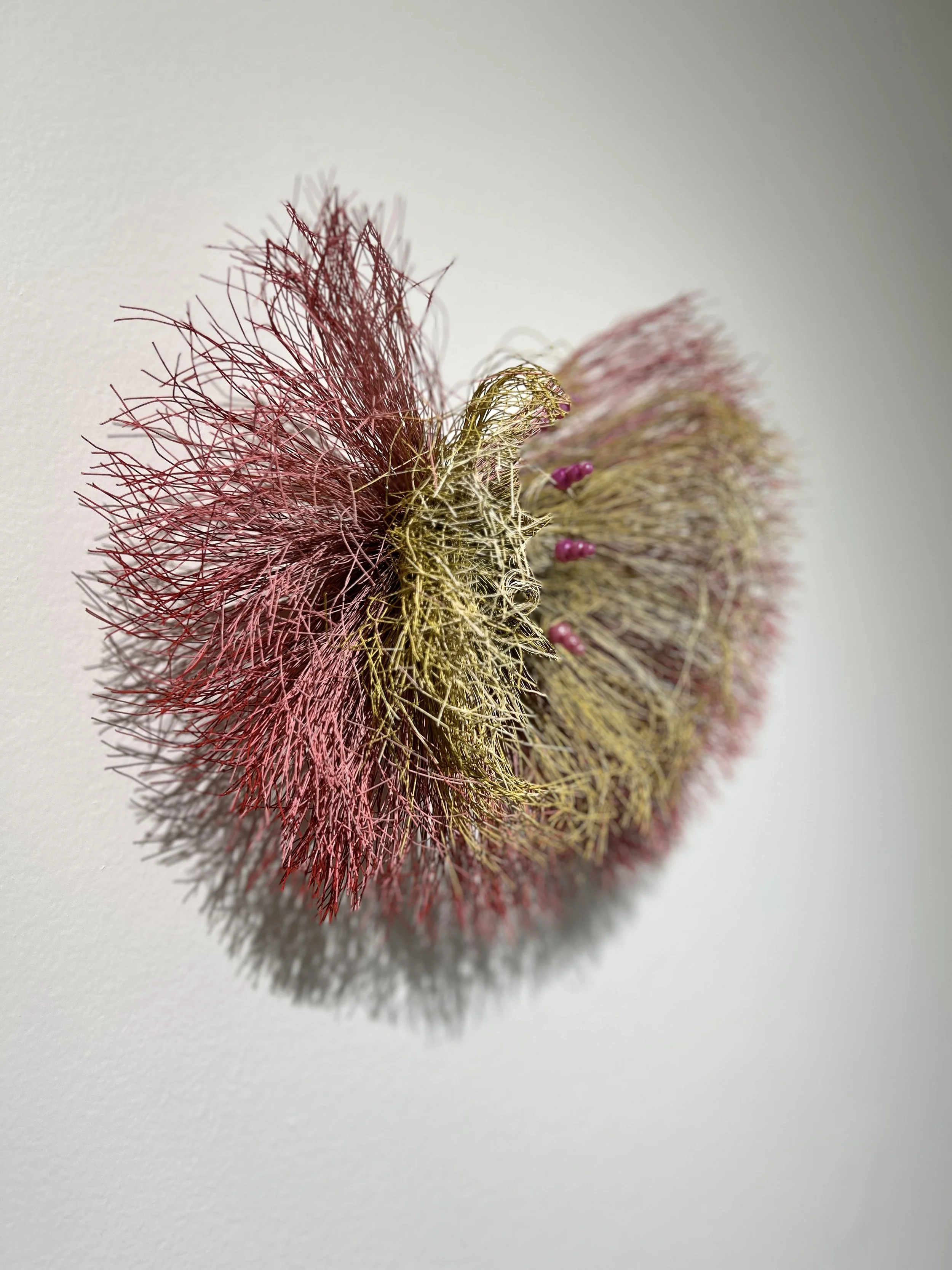 Blooming - Dysfunctional objects seriesLittle_Kirsty 1.JPG