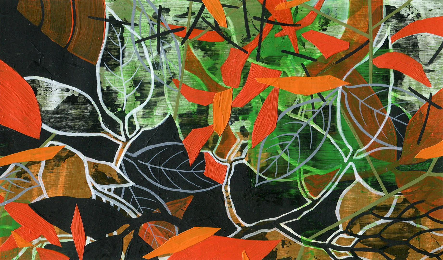 Forest Floor Study