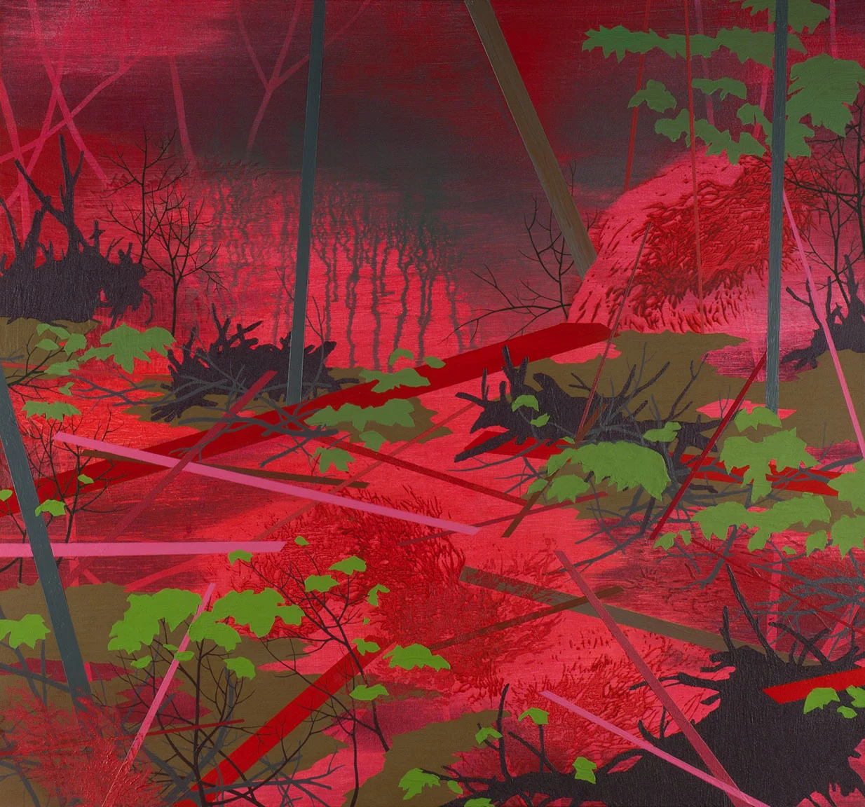 Fallen Wood