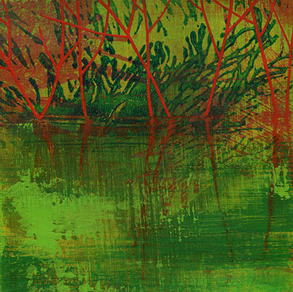 Reflected Branches.jpg