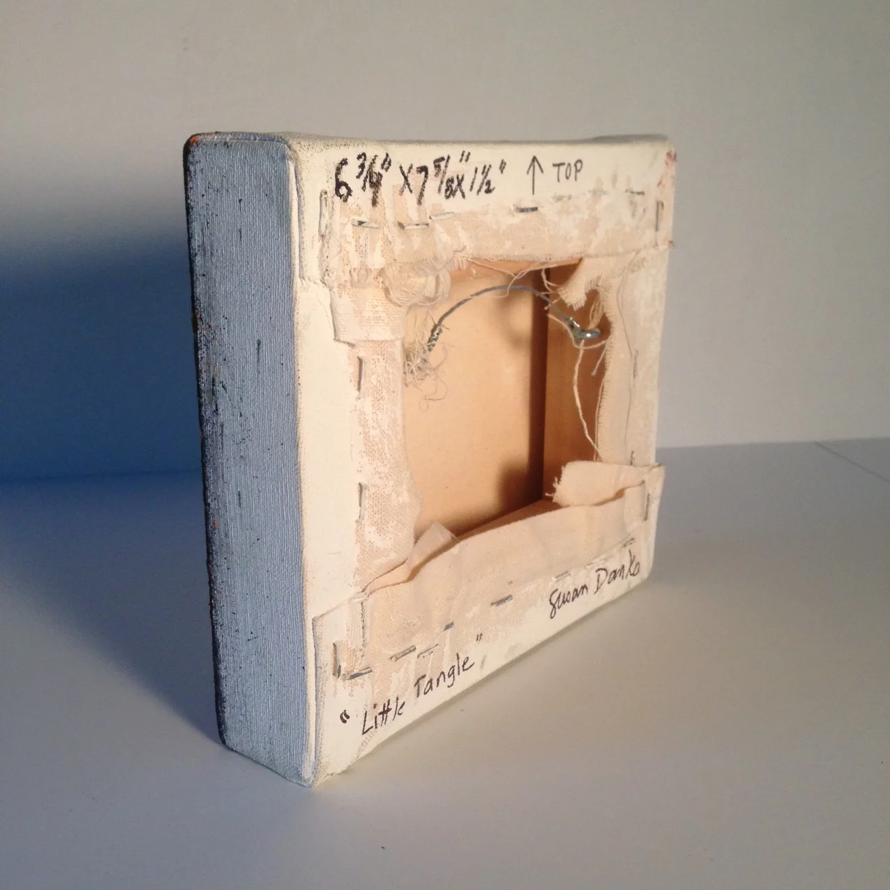 Little tangle rev.JPG