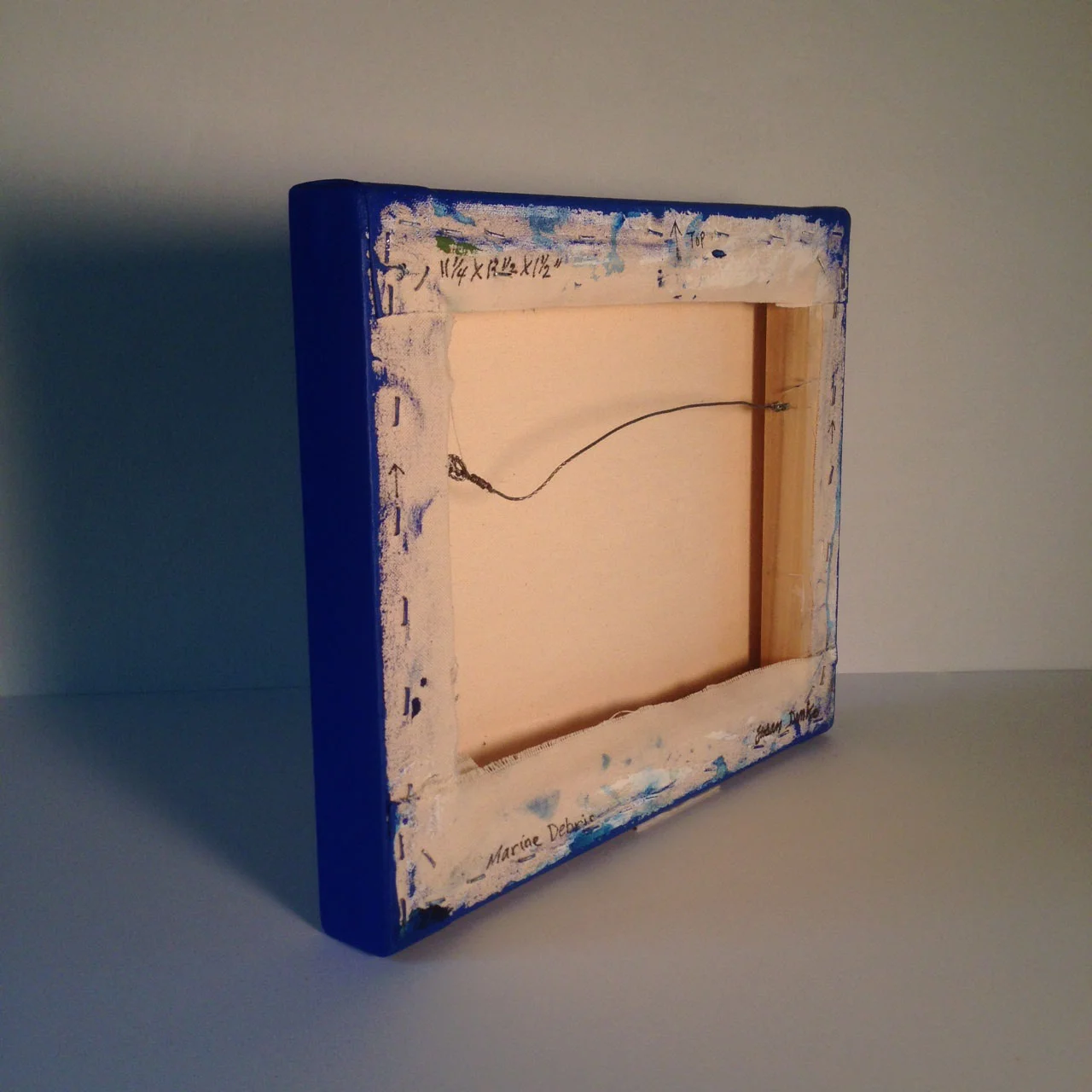 Marine debris rev.JPG