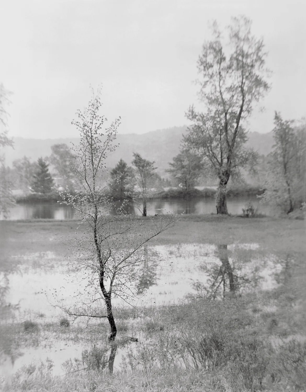 First Spring, South Lunenburg, 2011 8 x 10 negative realized as a pigment ink print, 2018. Multiple attempts at making a gelatin silver print have failed, but I have another paper in mind, and even greater hopes that this will become an albumen print in the near future.