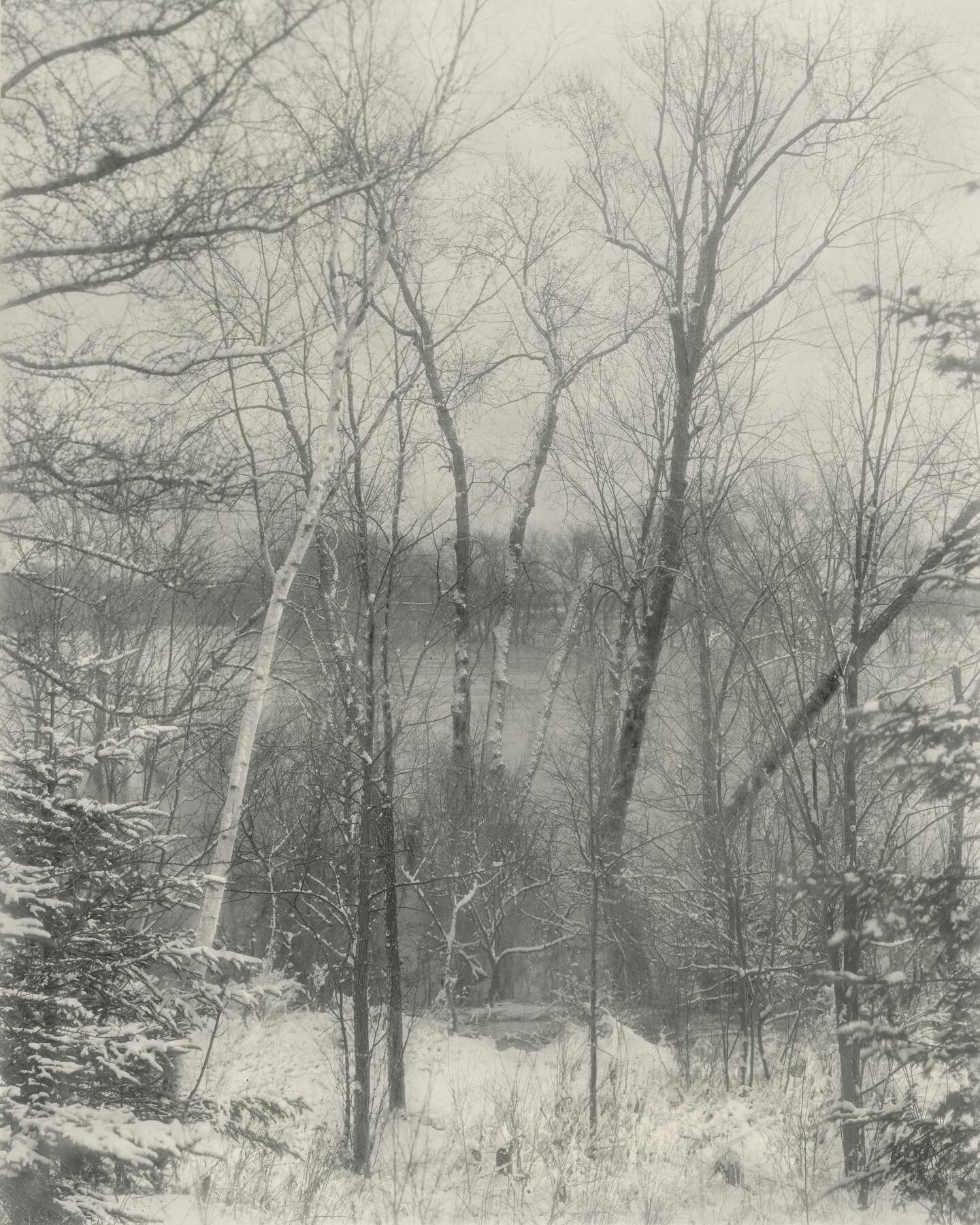 Lunenburg, April, 2014

Silver gelatin contact print, 10 x 8 inches, printed on Agfa Insignia paper.
Reproduced in &quot;Art in the Making, Essays by Artists About What They Do&quot;, published by Christopher and Nicholas Benson.

Books will be avail