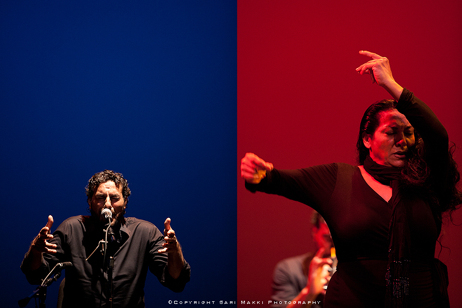 Flamenco-Gitano3.jpg