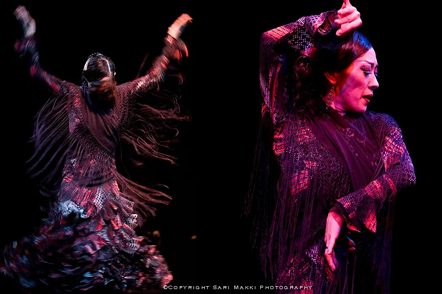 MizuhoShow2012.jpg