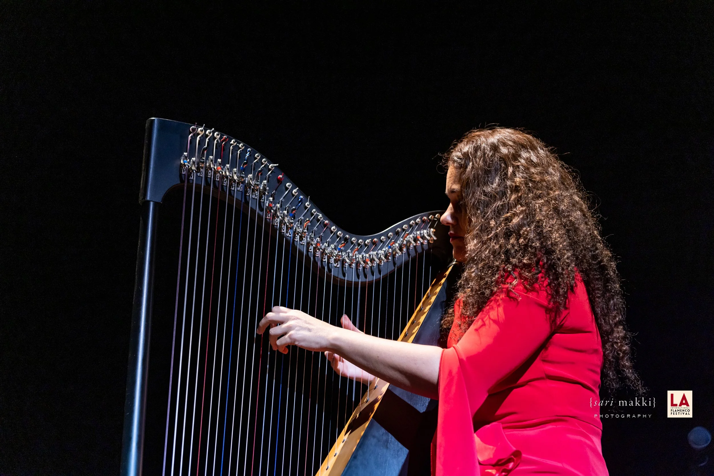 SariMakkiPhoto-LAFlamencoFest-10144.jpg