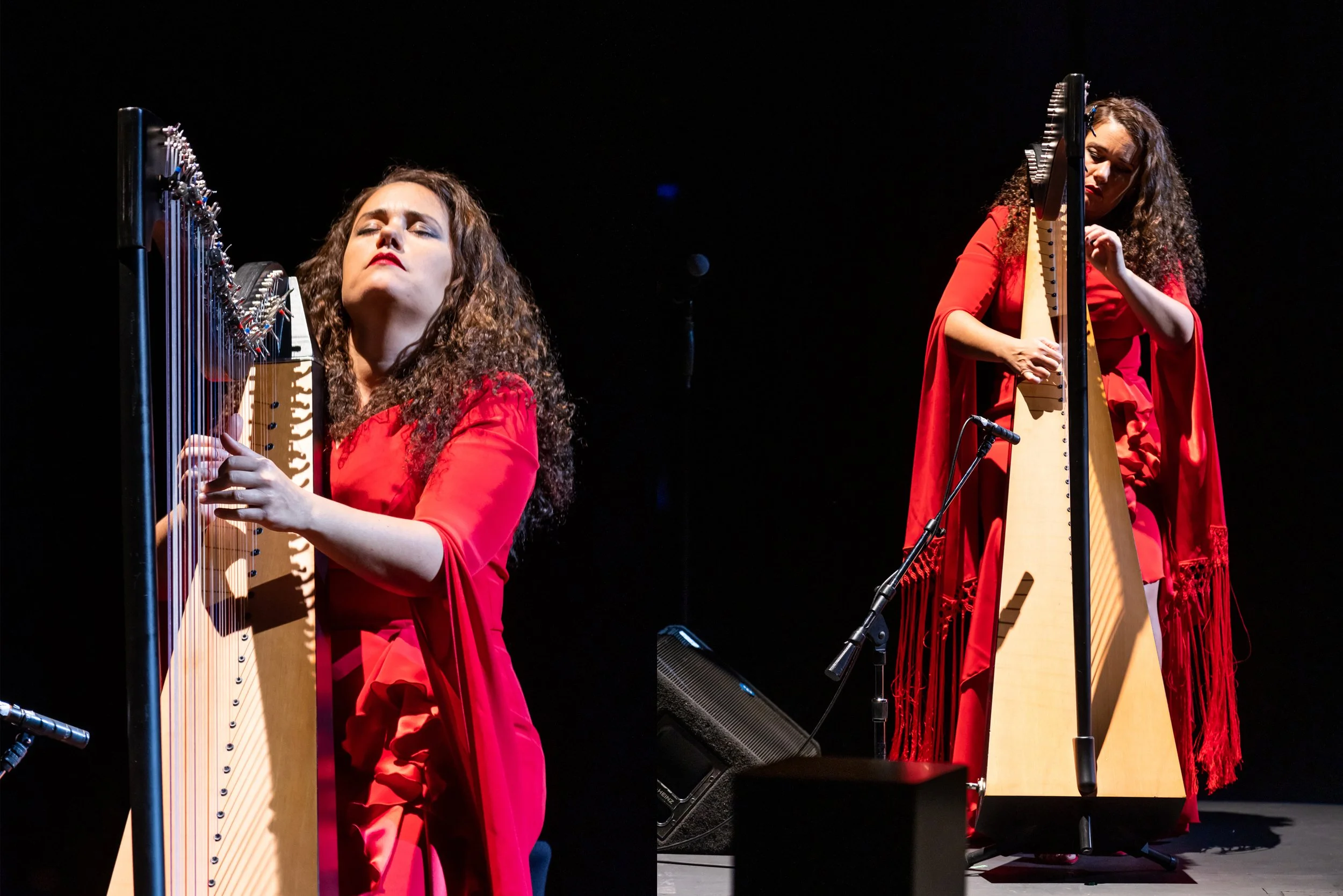 SariMakkiPhoto-LAFlamencoFest-AnaCrisman1.jpg