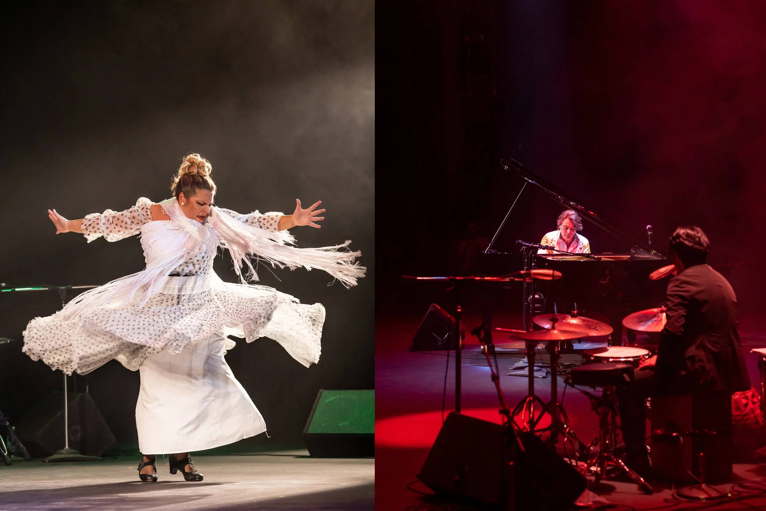 SariMakkiPhoto-LAFlamencoFest3.jpg