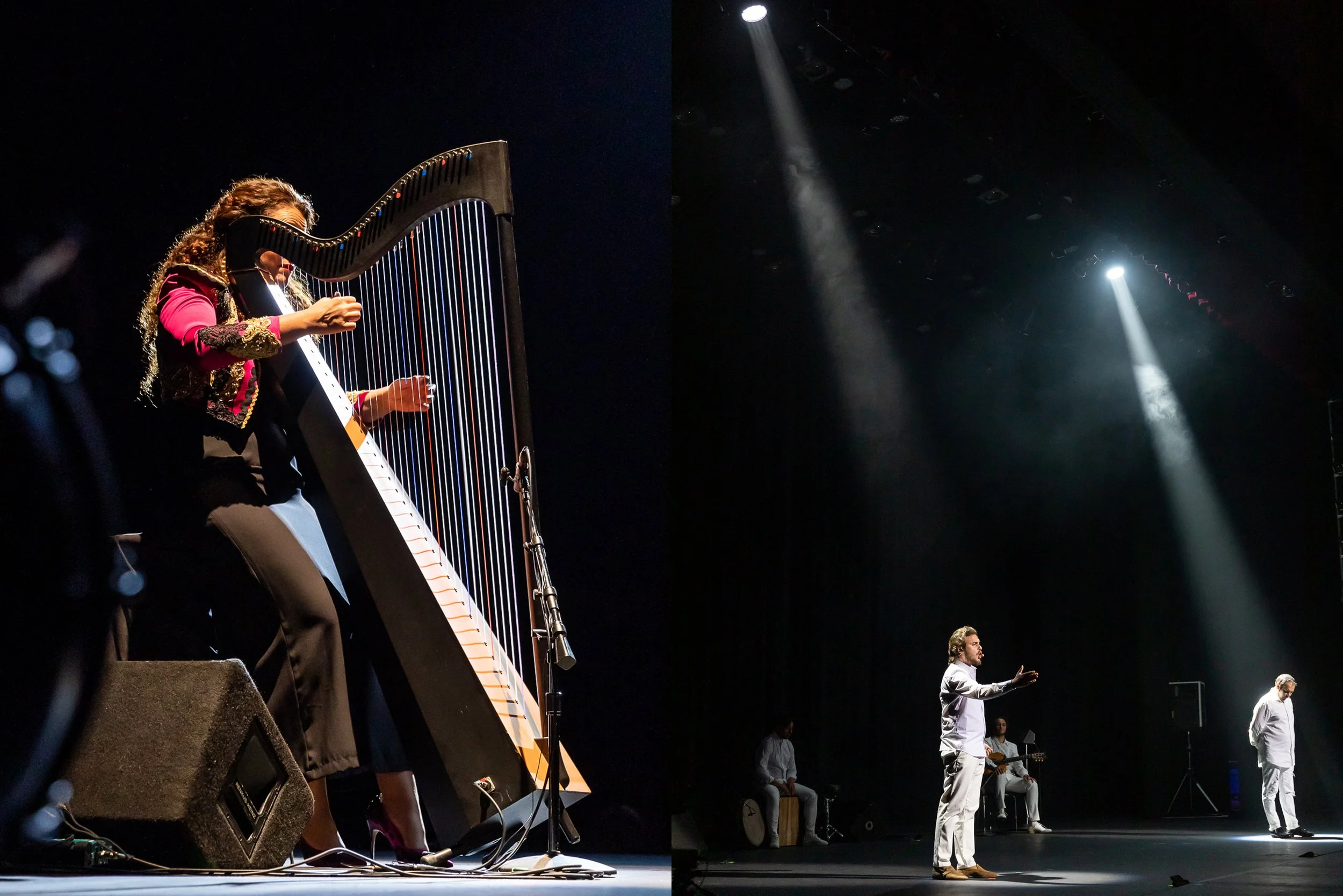 SariMakkiPhoto-LAFlamencoFest5.jpg