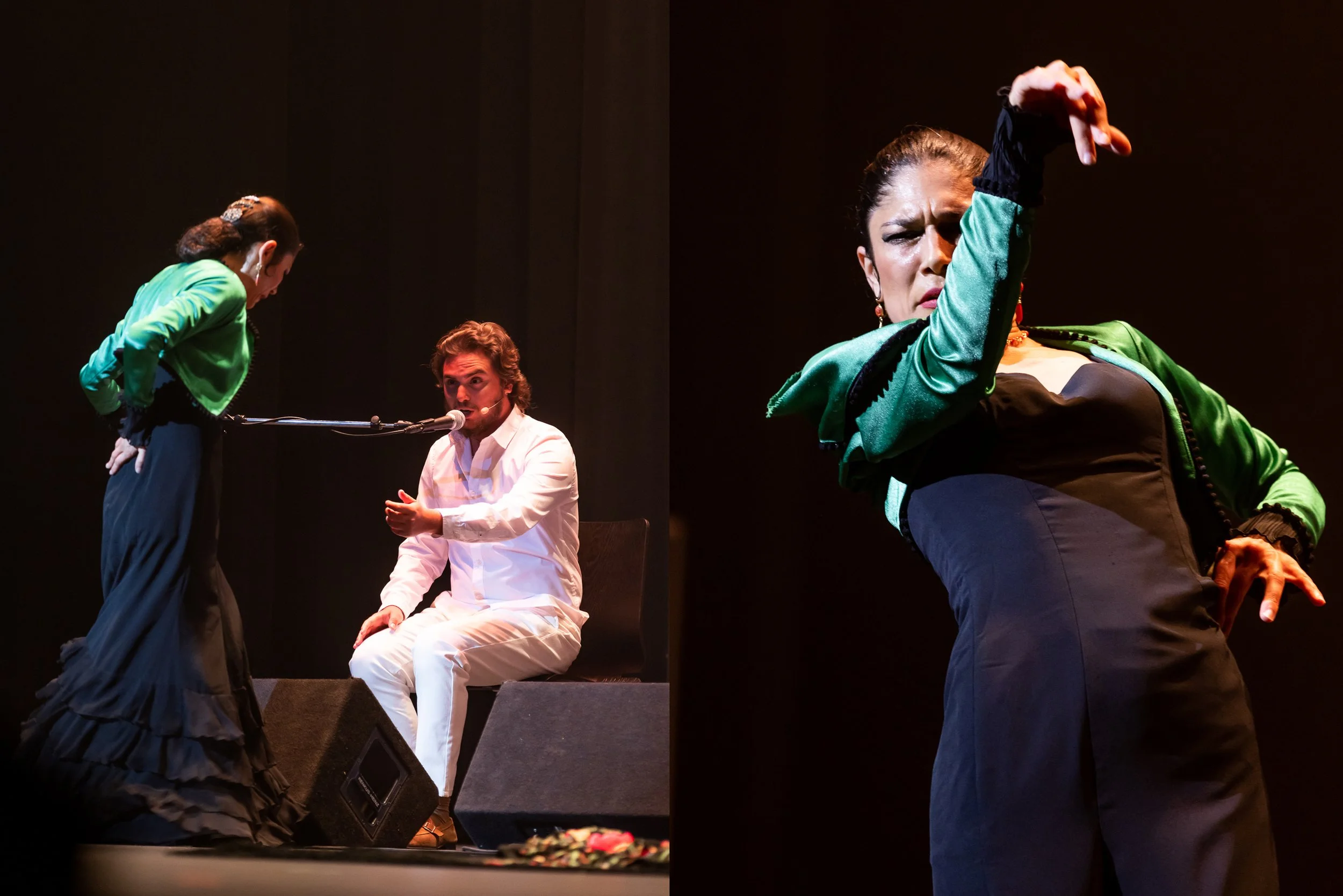 SariMakkiPhoto-LAFlamencoFest12.jpg