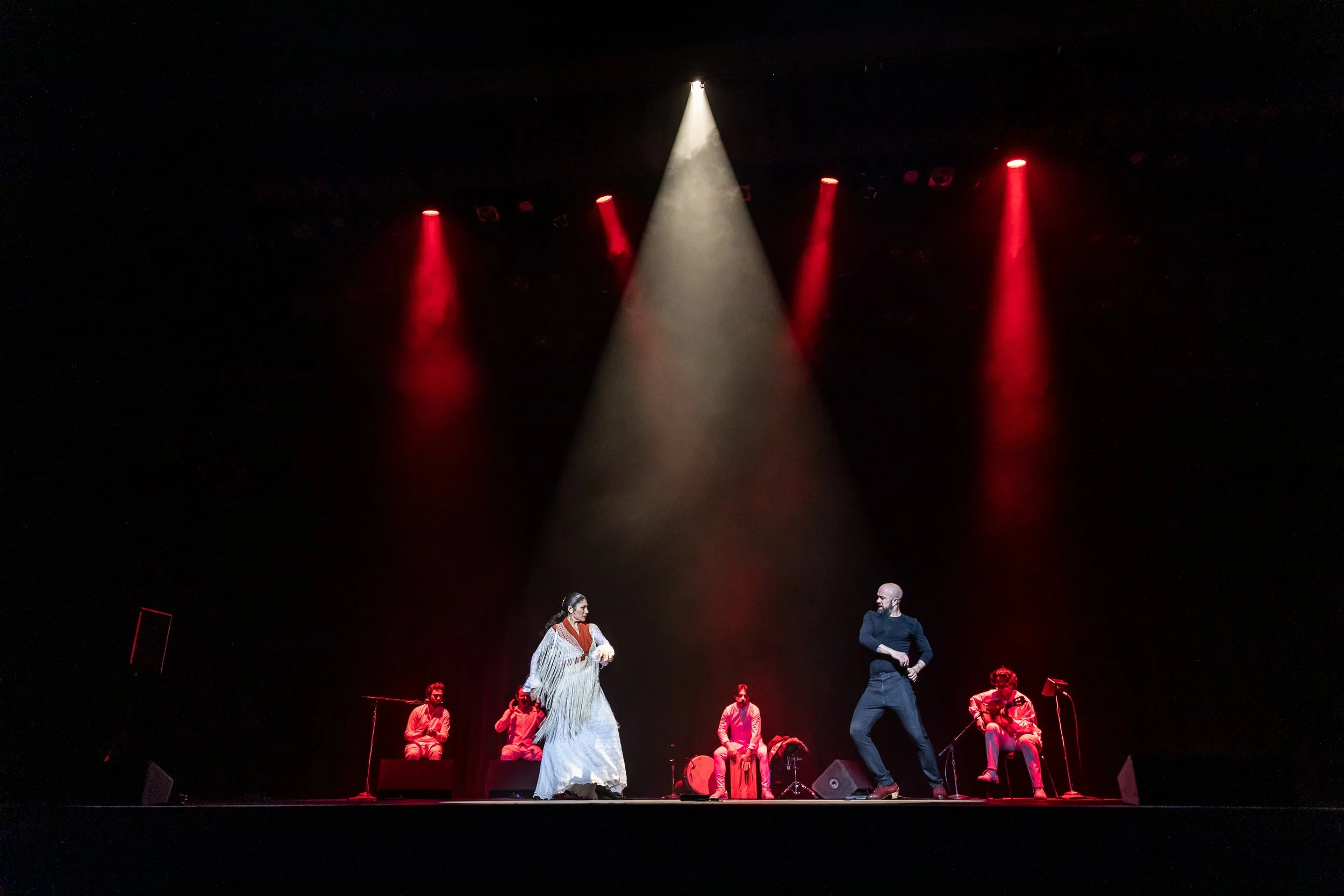 SariMakkiPhoto-LAFlamencoFest--20156.jpg
