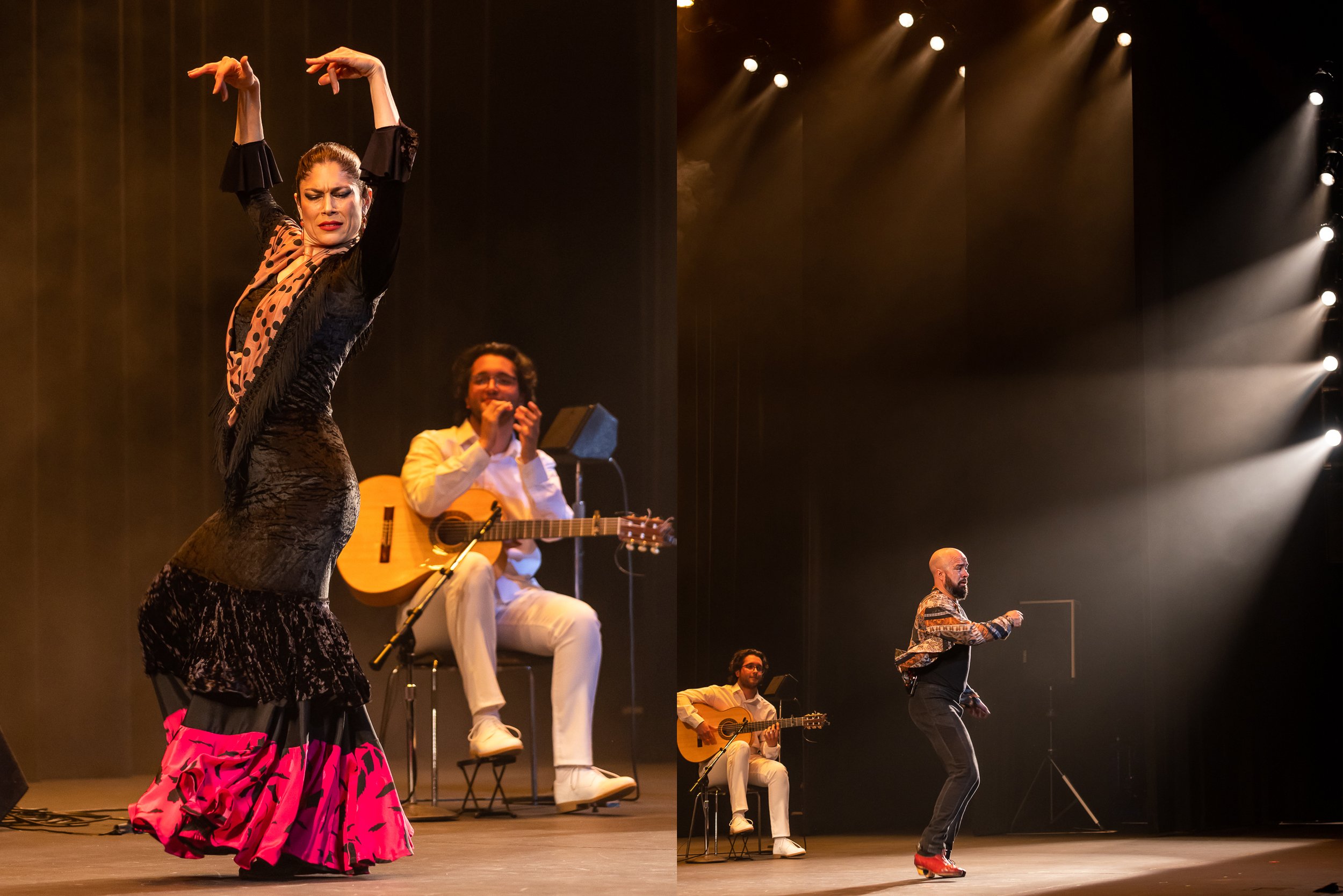 SariMakkiPhoto-LAFlamencoFest13.jpg